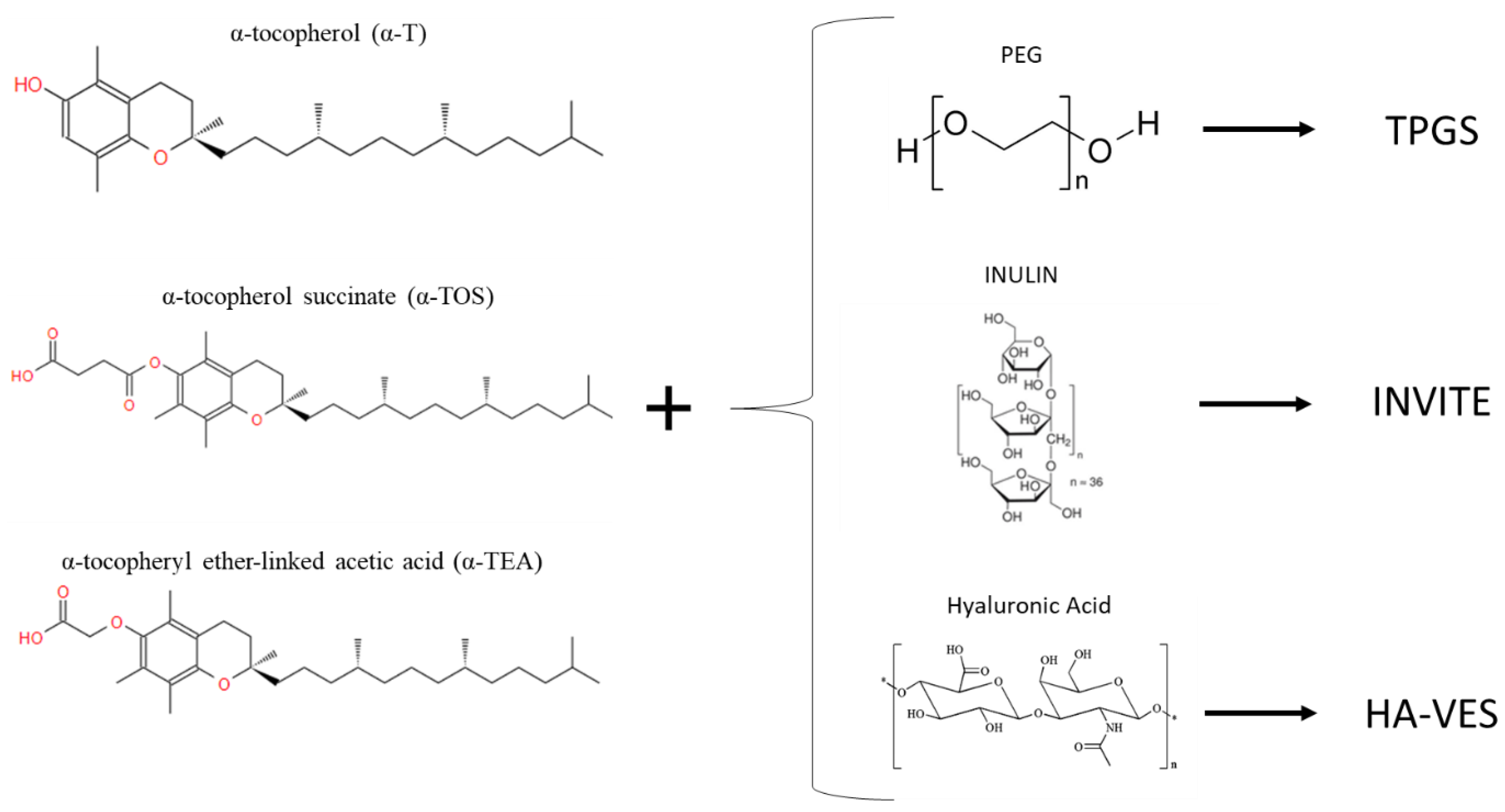 Materials 14 03691 g005