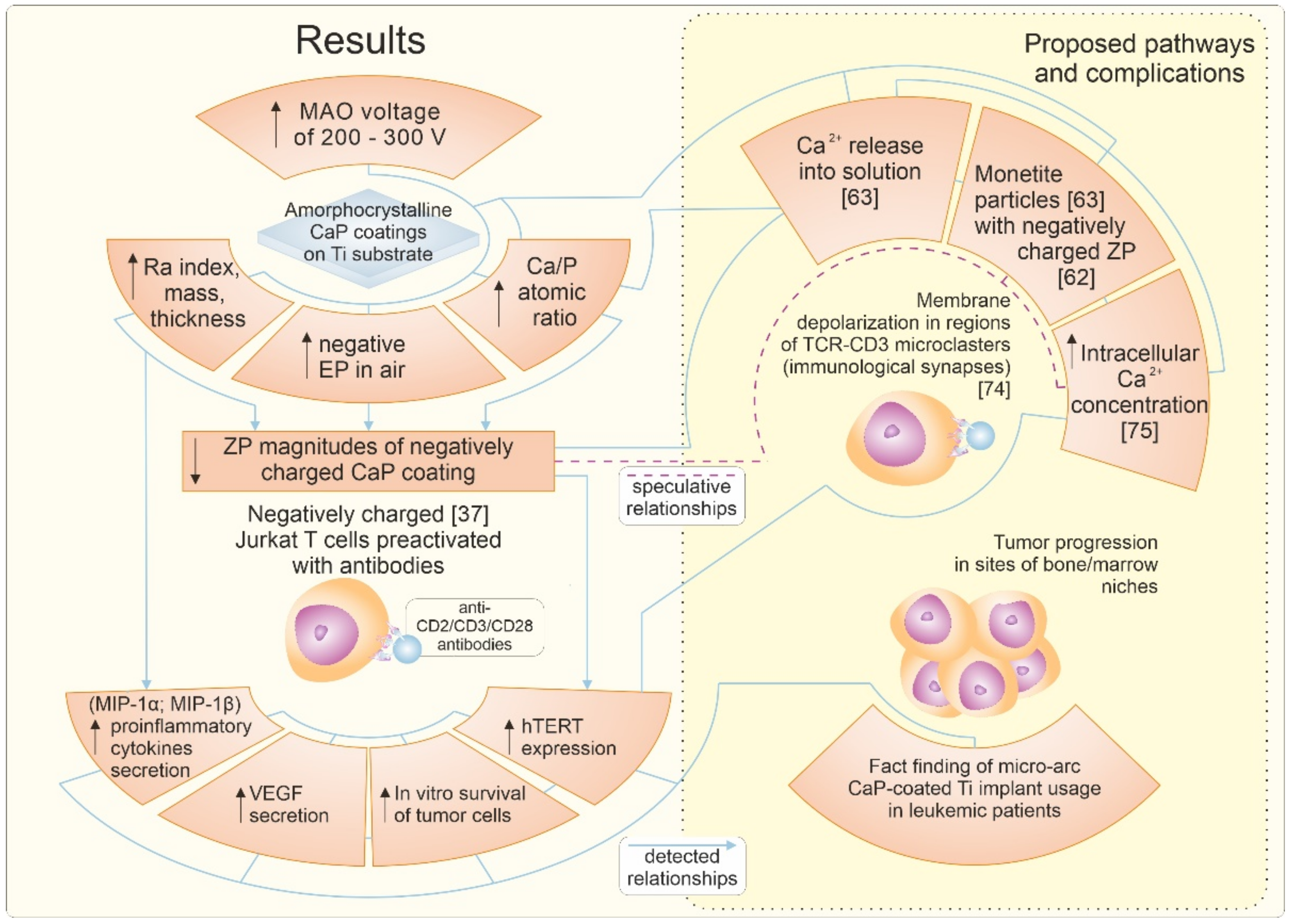 Materials 14 03693 g006