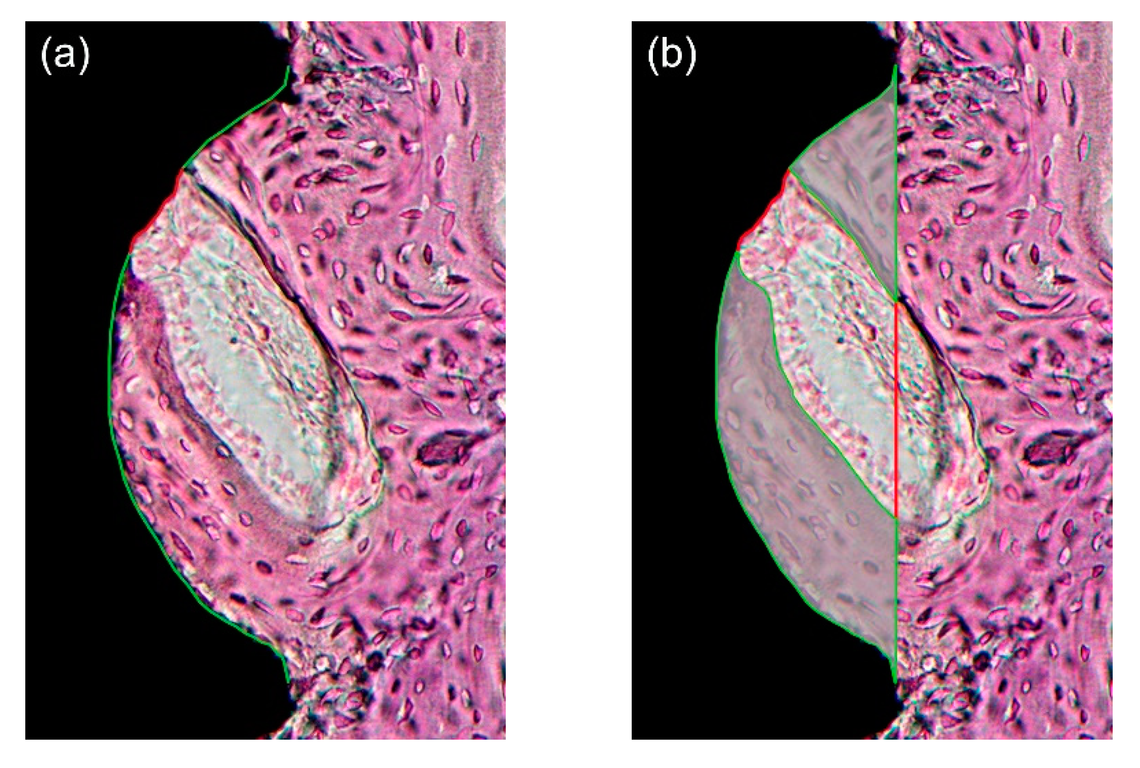 Materials 14 03707 g004