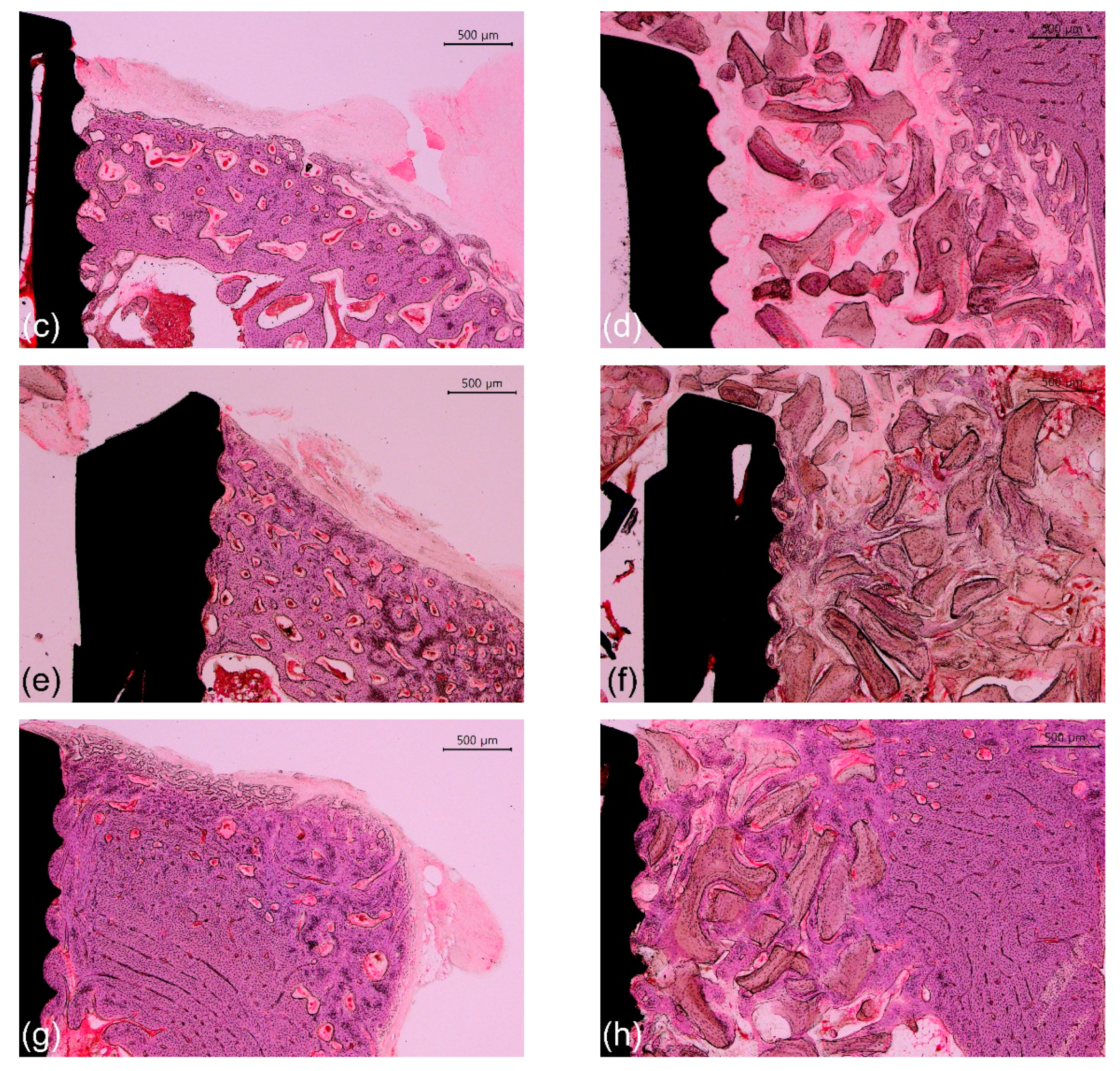 Materials 14 03707 g007b