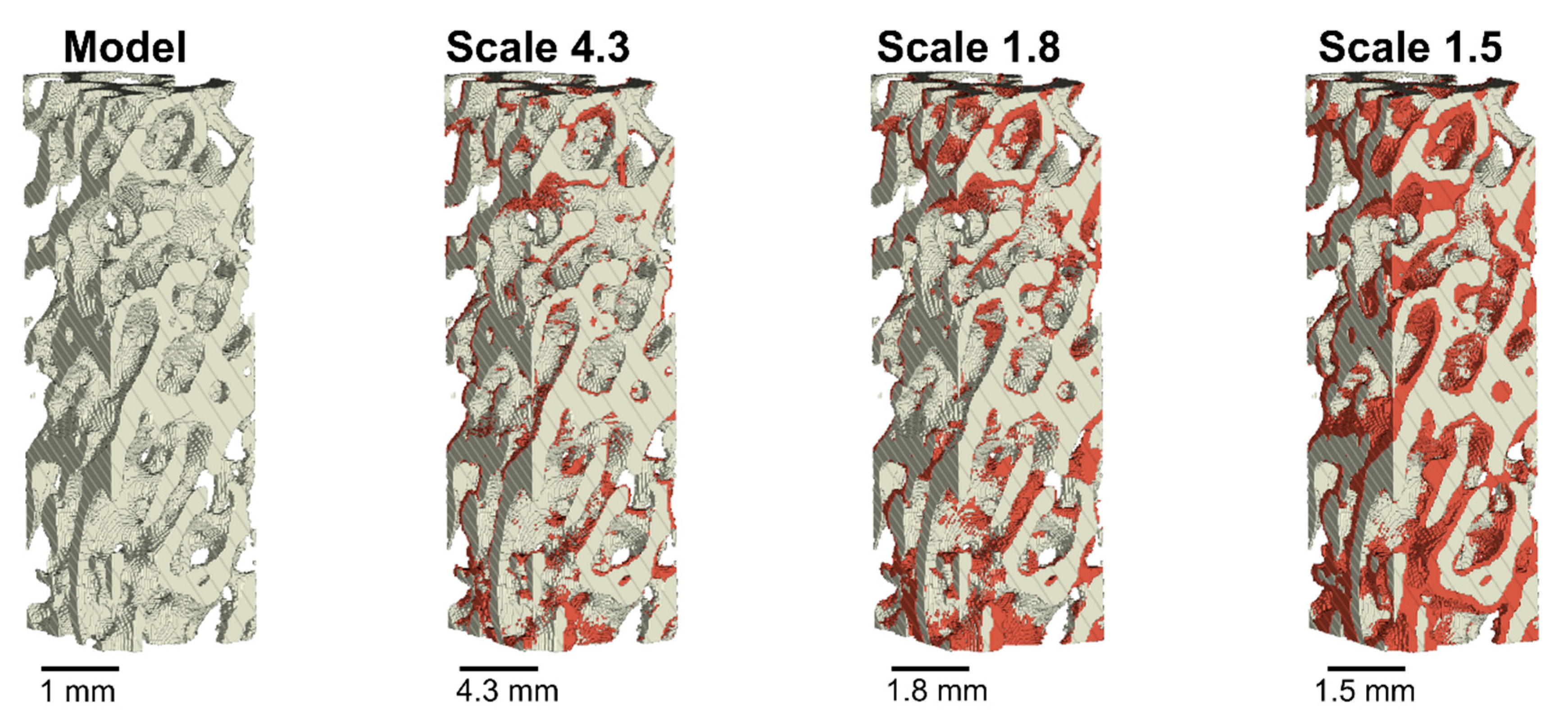 Materials 14 03712 g005 Materials 14 03712 g005