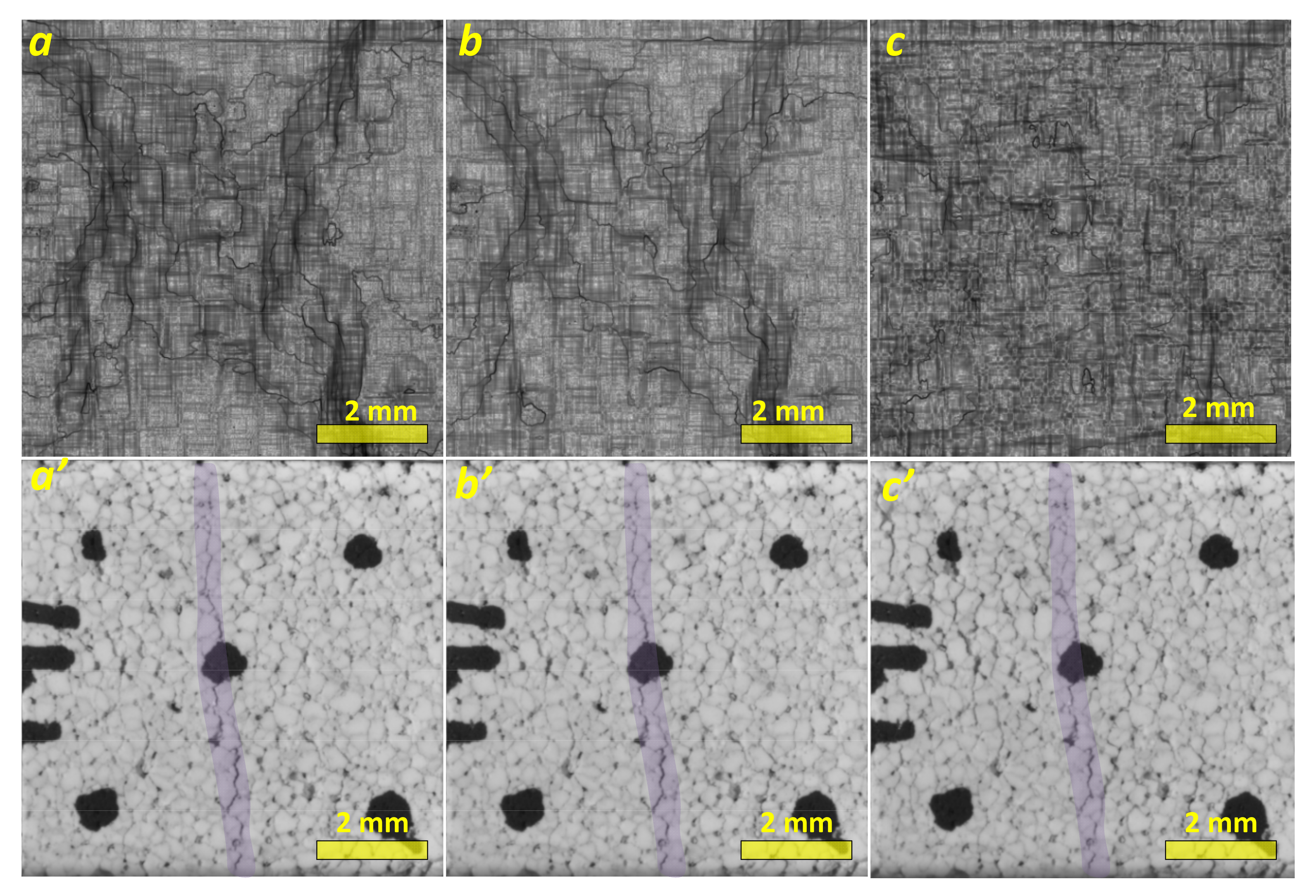 Materials 14 03720 g005
