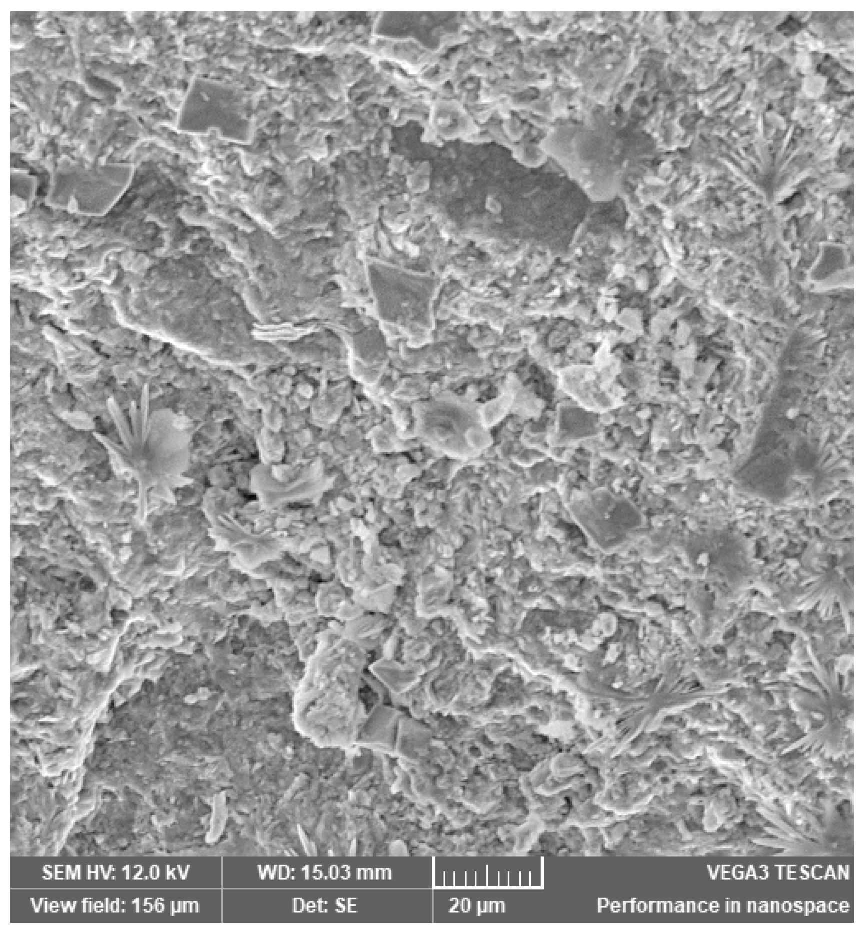 Materials 14 03724 g006