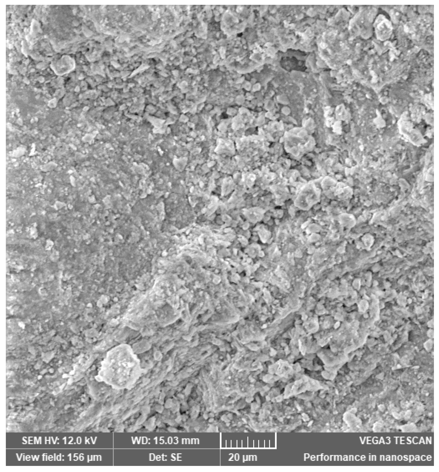 Materials 14 03724 g007