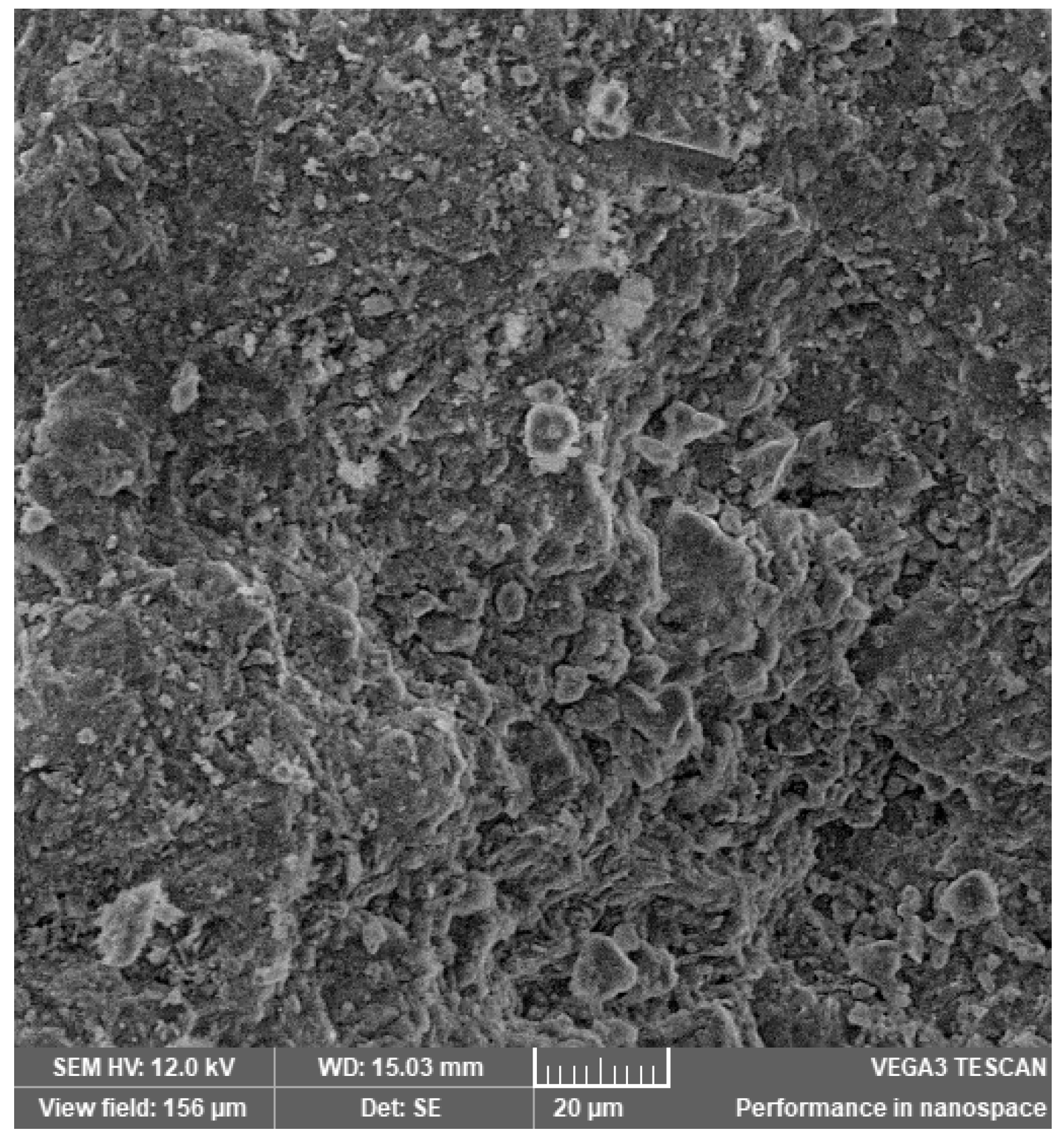 Materials 14 03724 g008