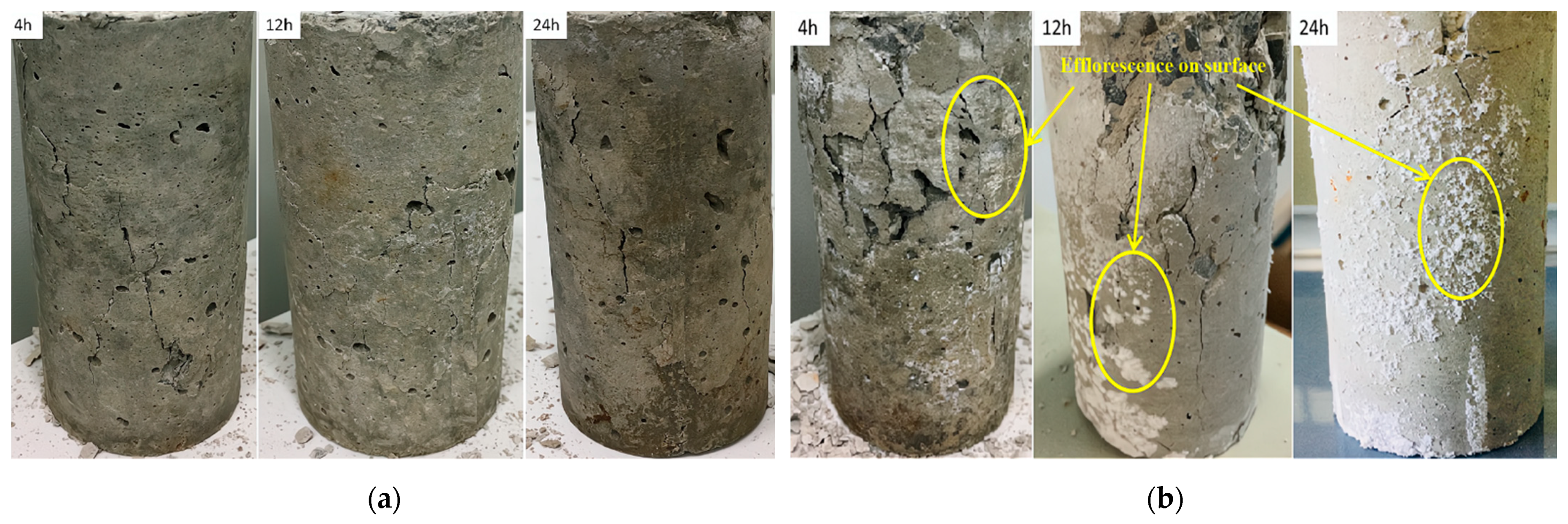 Materials 14 03726 g006