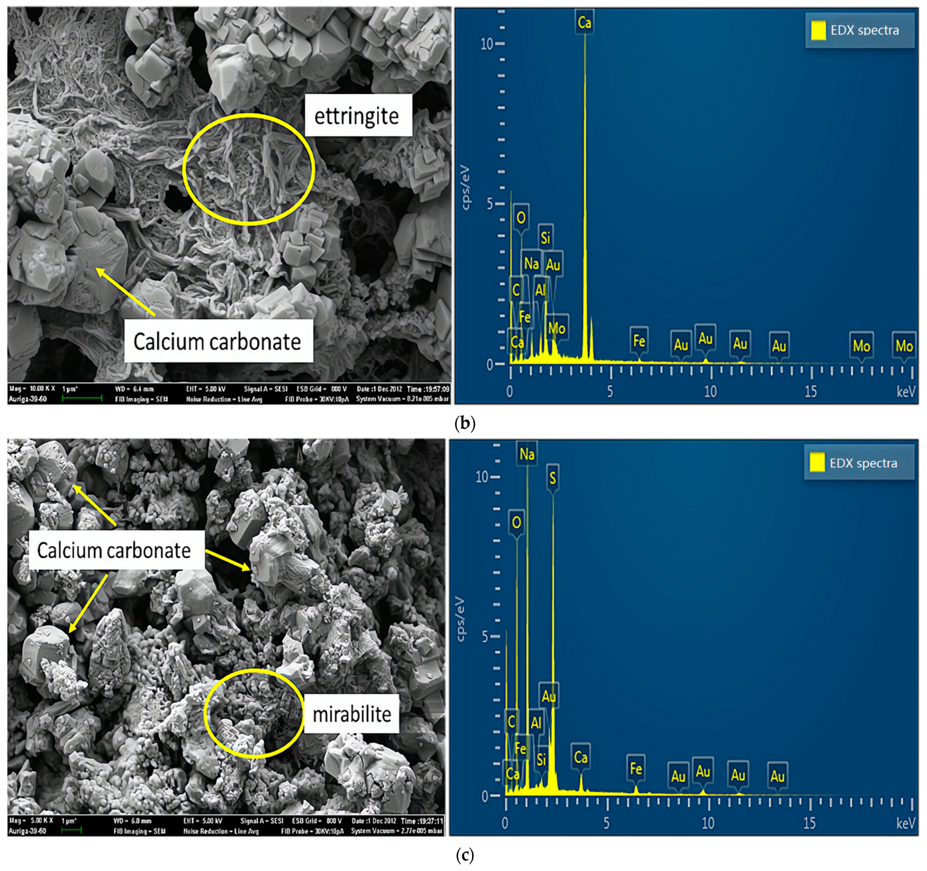 Materials 14 03726 g007b