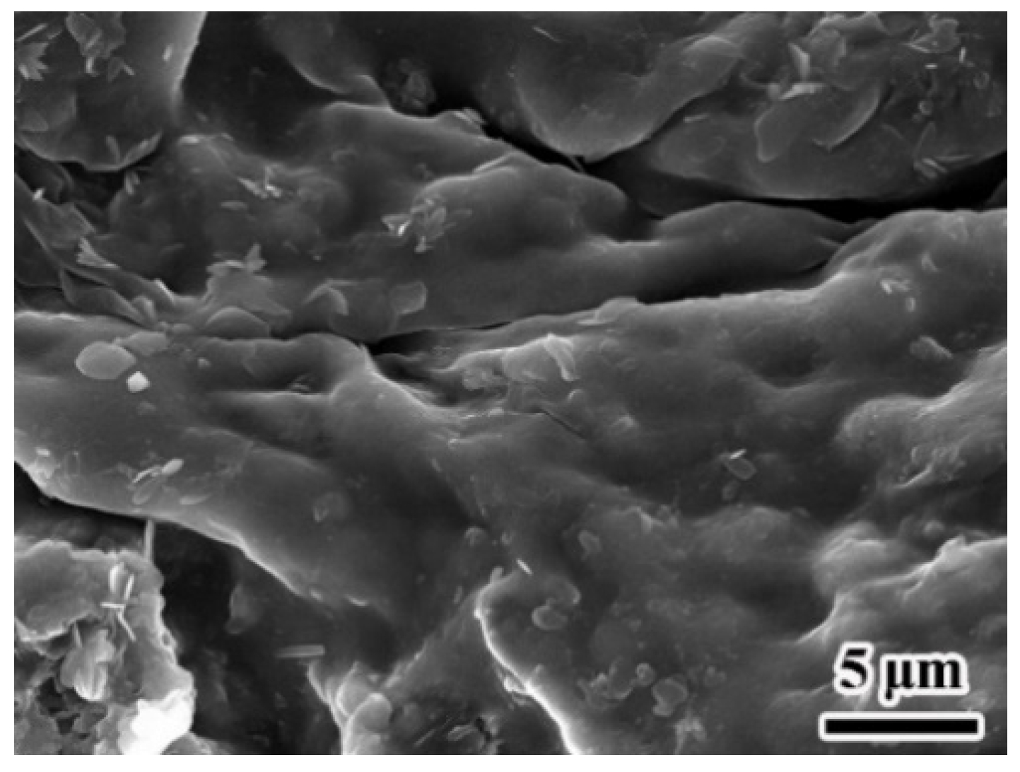 Materials 14 03753 g007