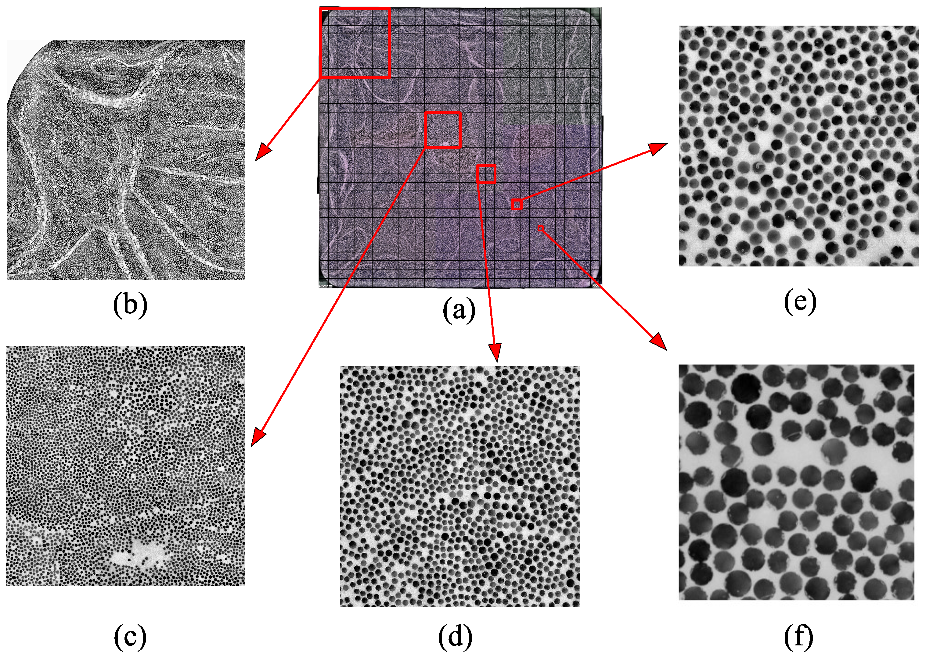 Materials 14 03763 g002