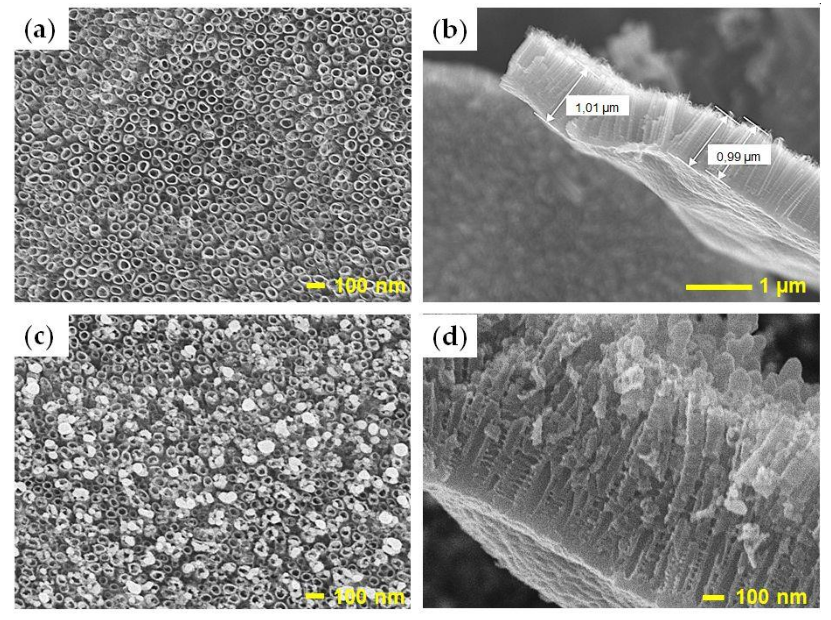 Materials 14 03767 g003