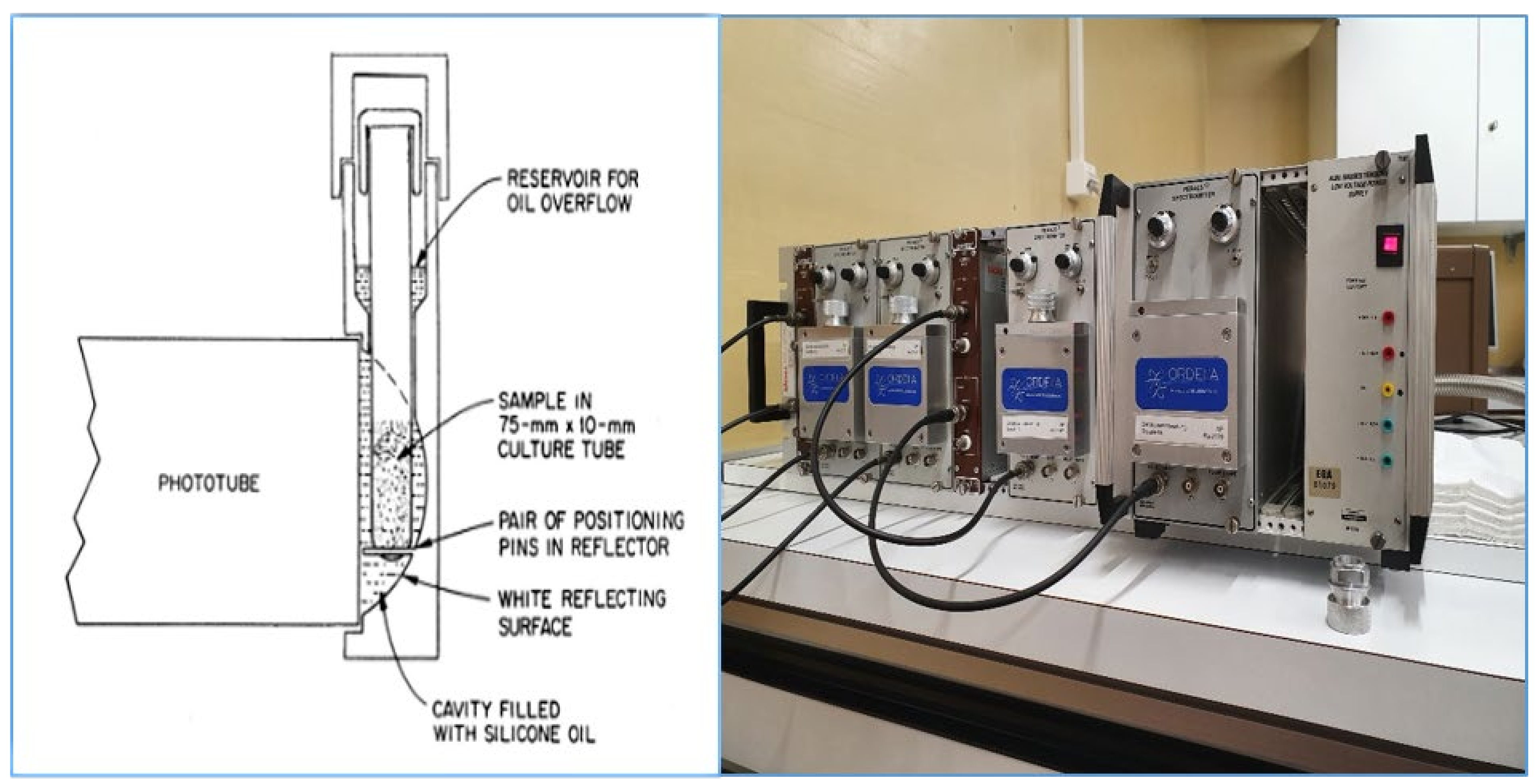 Materials 14 03787 g002