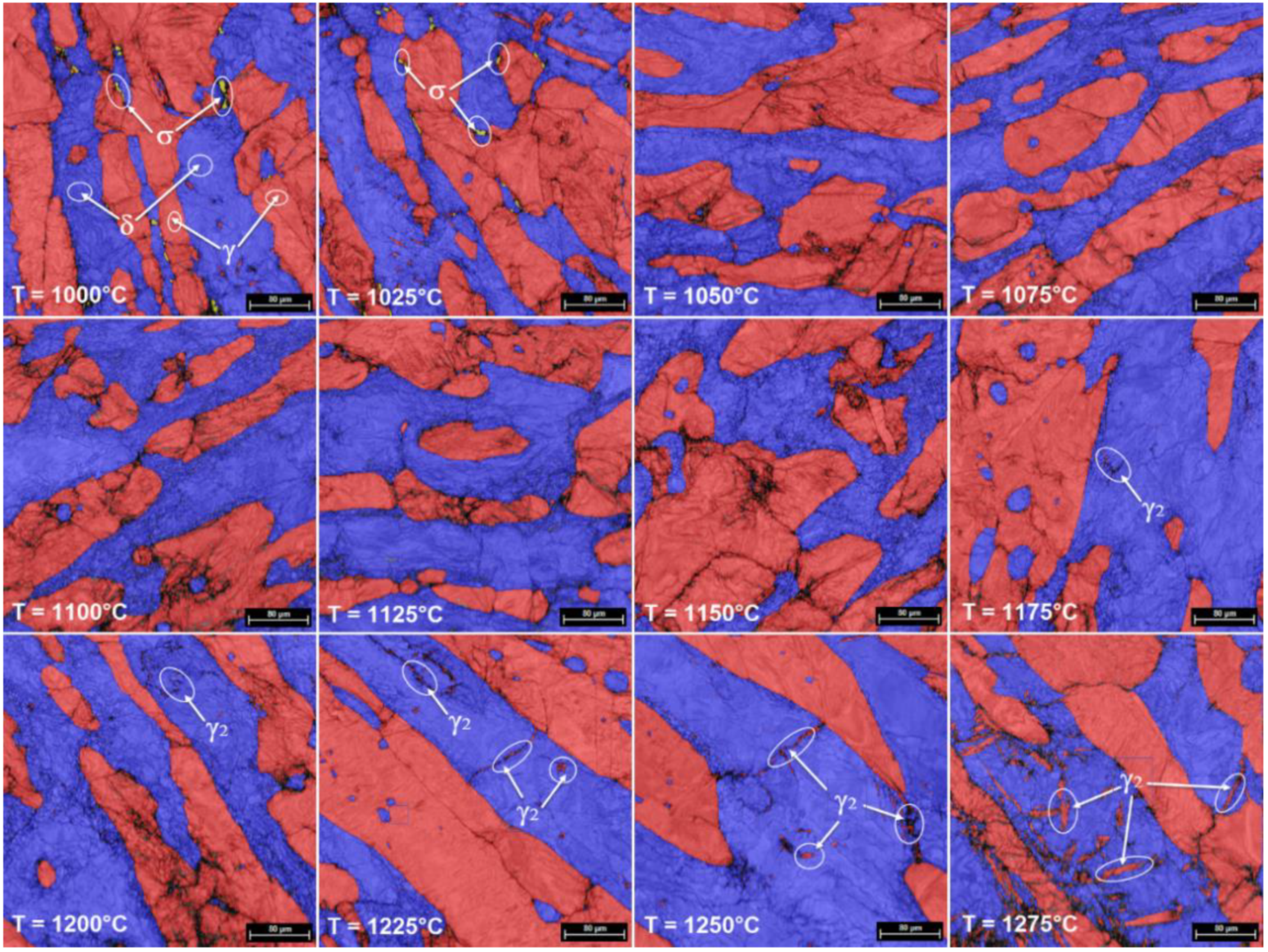 Materials 14 03916 g005