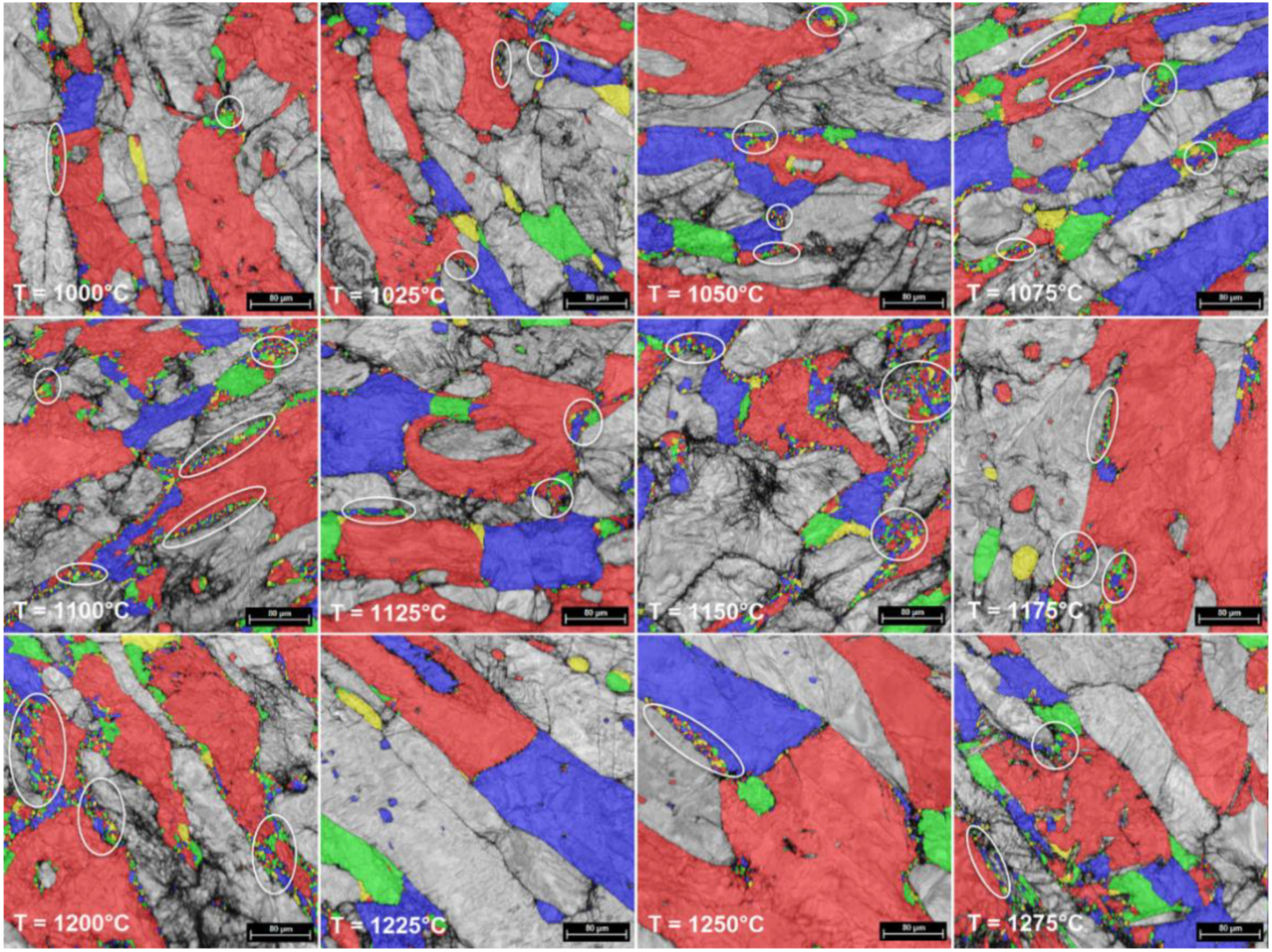 Materials 14 03916 g007