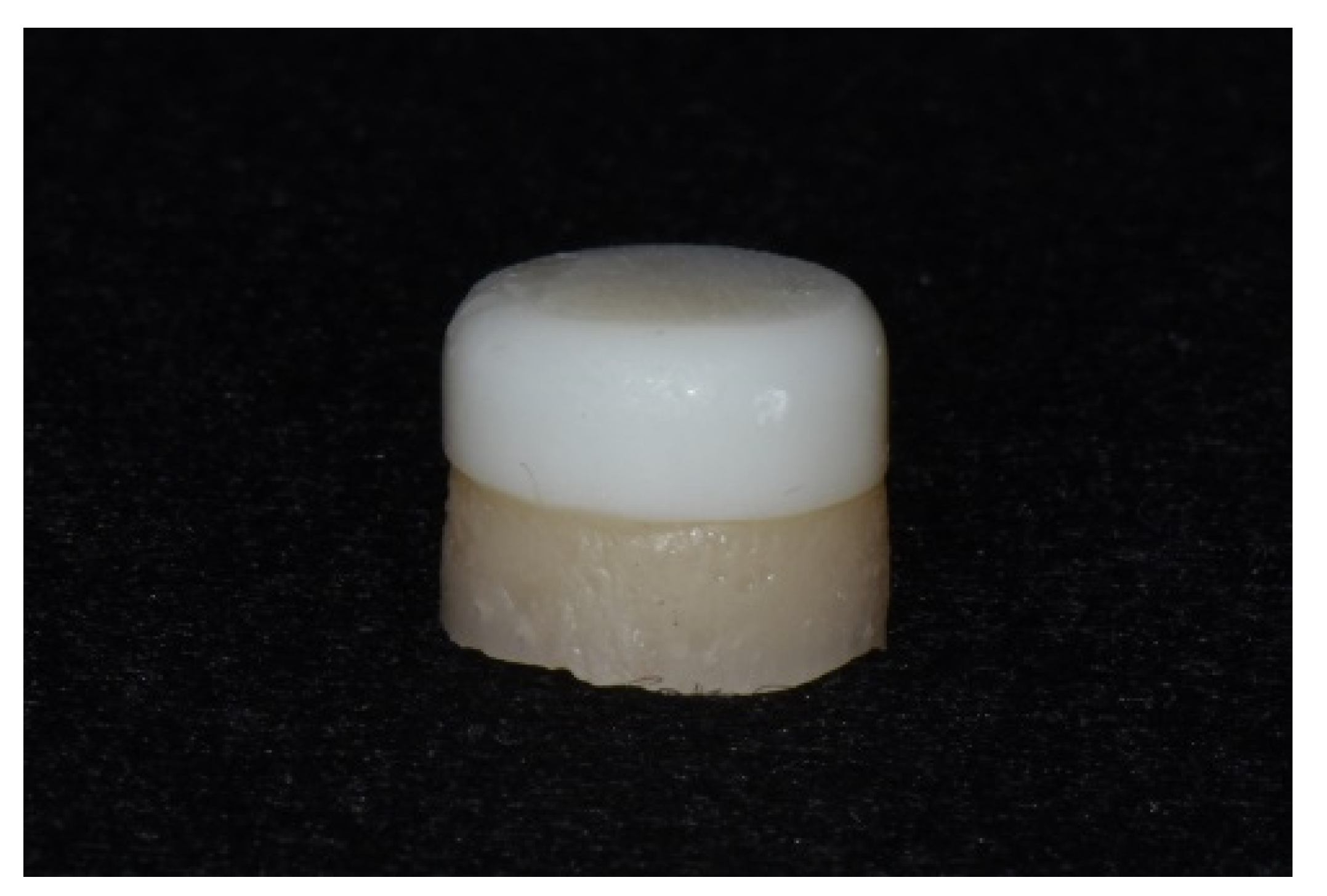 Materials 14 03976 g002