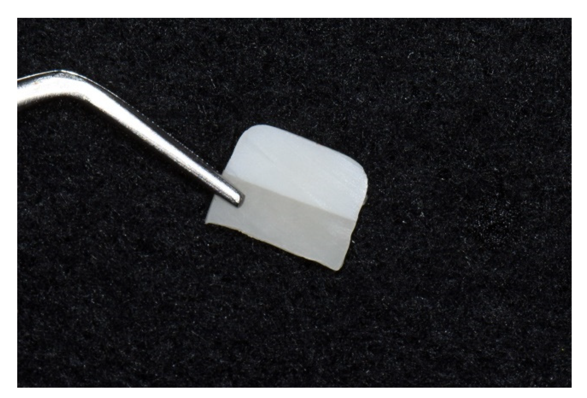 Materials 14 03976 g004