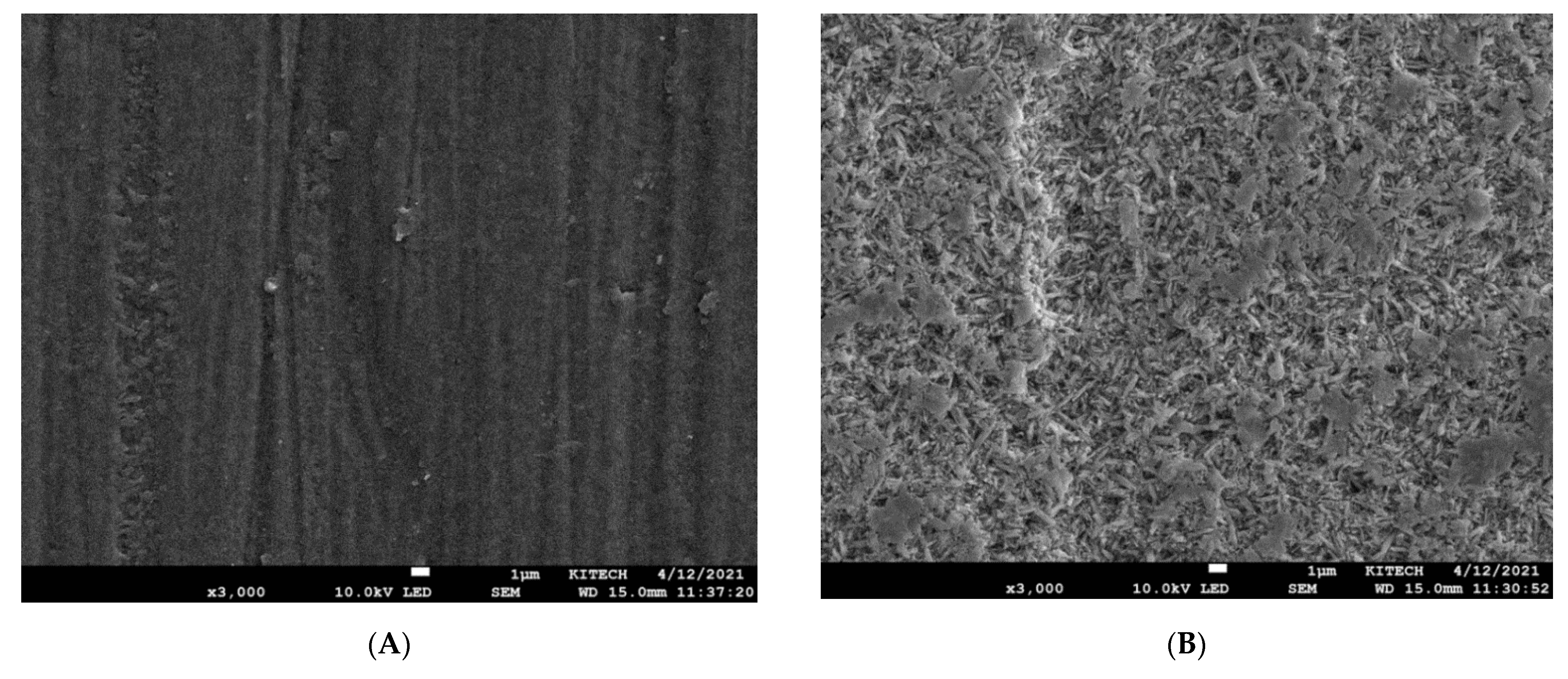 Materials 14 03976 g006