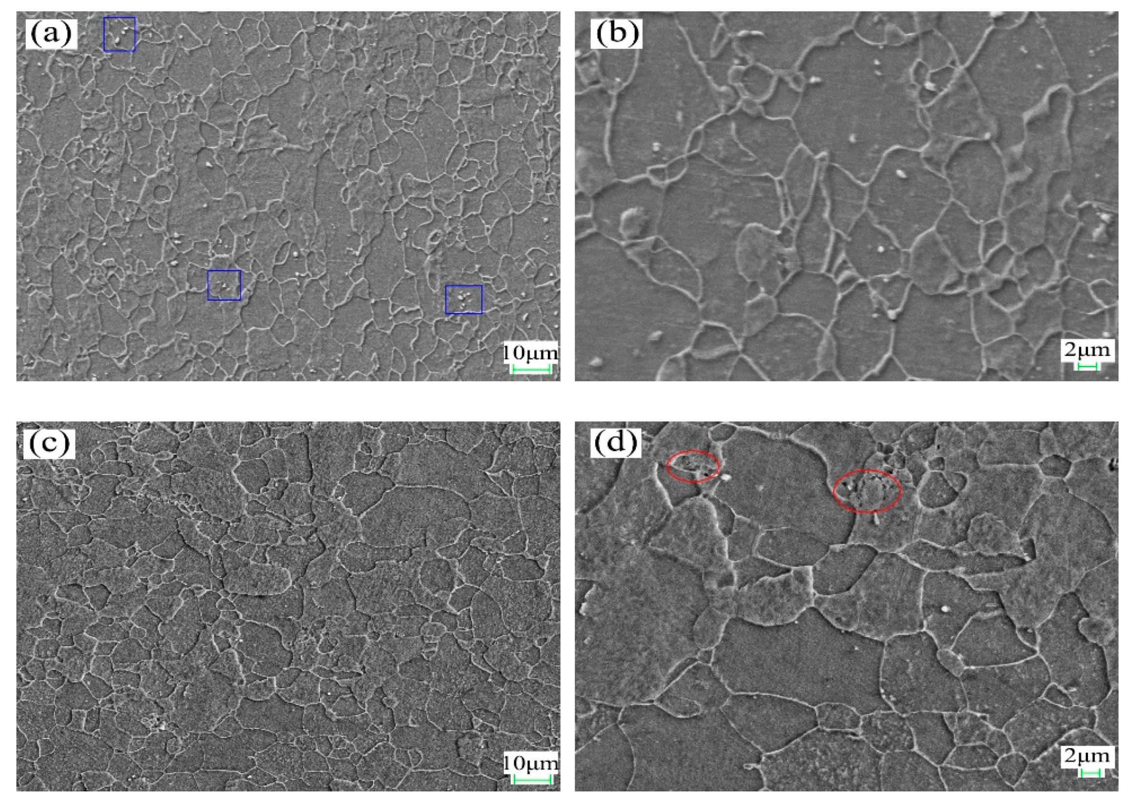 Materials 14 04040 g001a Materials 14 04040 g001a