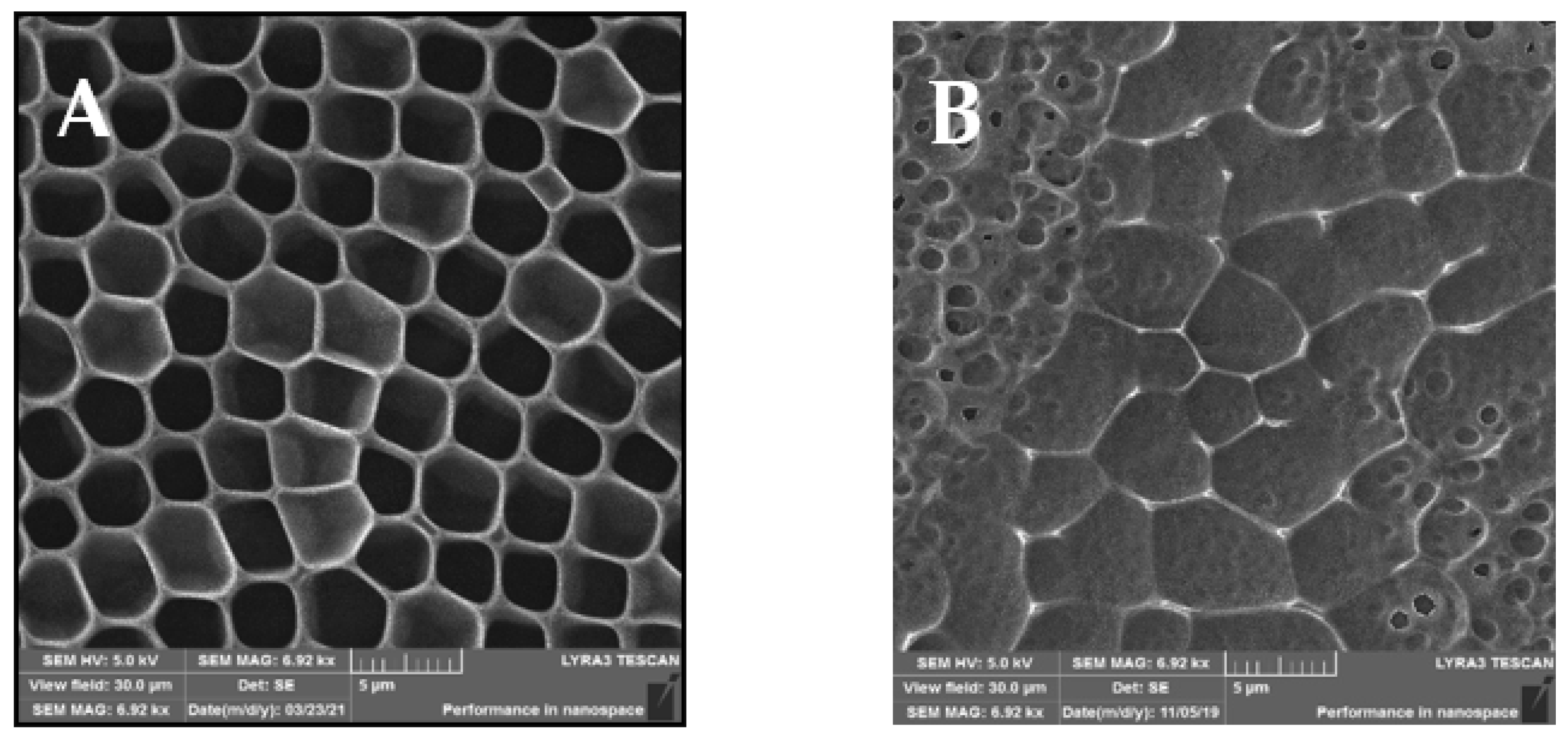 Materials 14 04051 g002