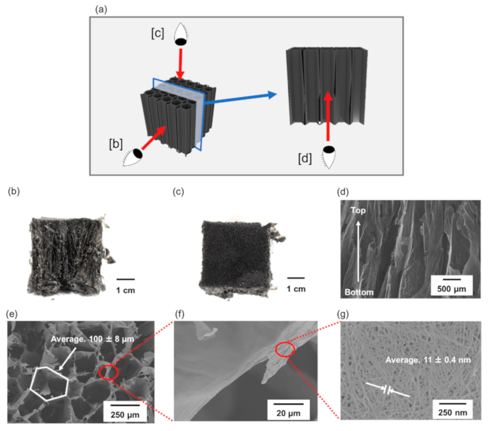 Materials 14 04059 g002