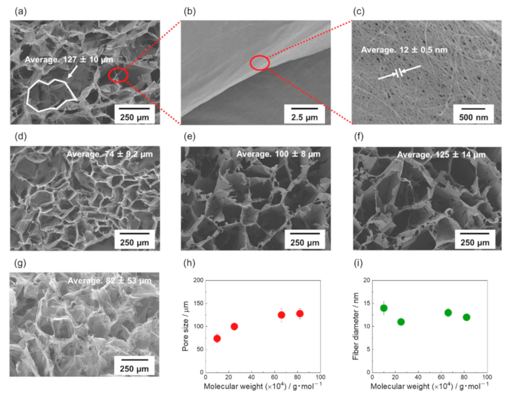 Materials 14 04059 g004