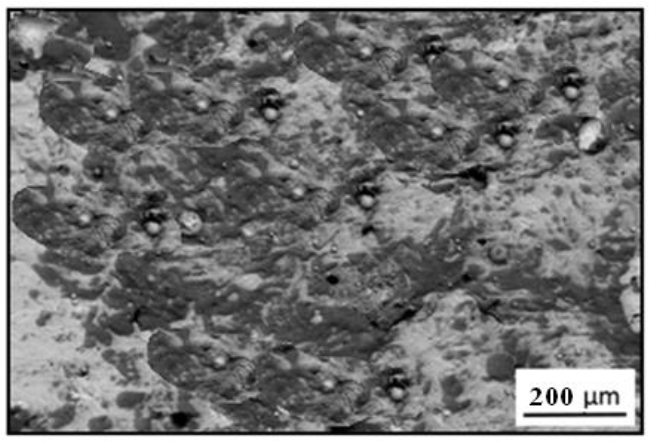 Materials 14 04078 g003