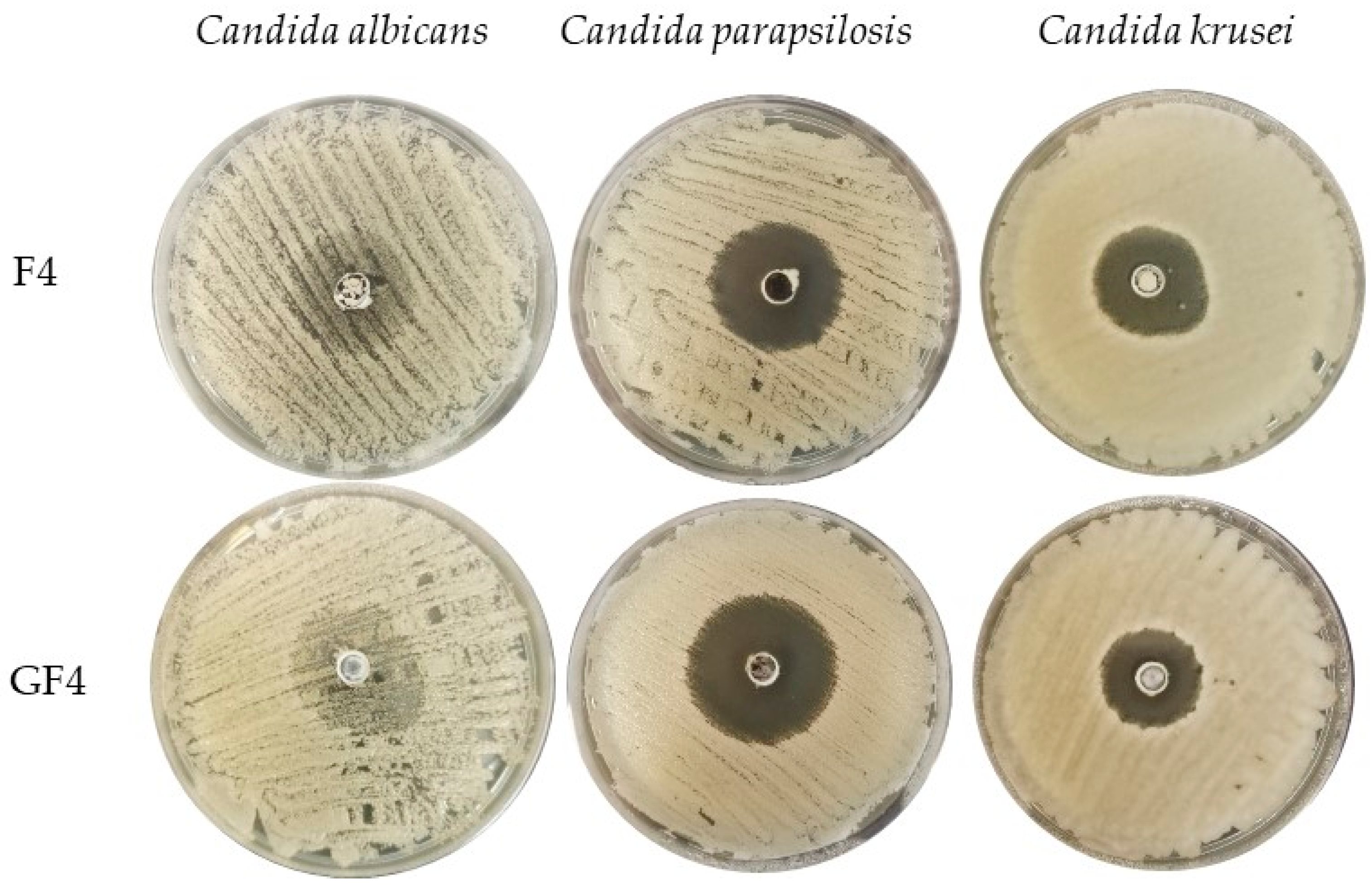 Materials 14 04087 g007