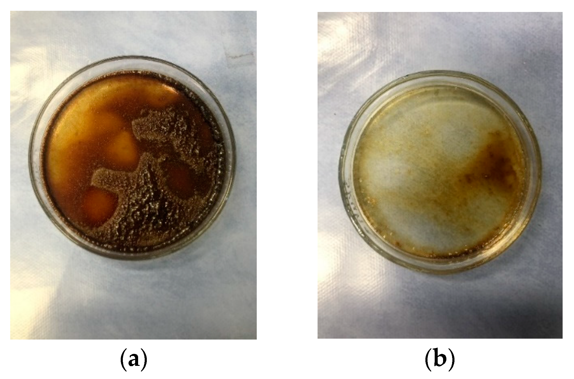 Materials 14 04091 g002