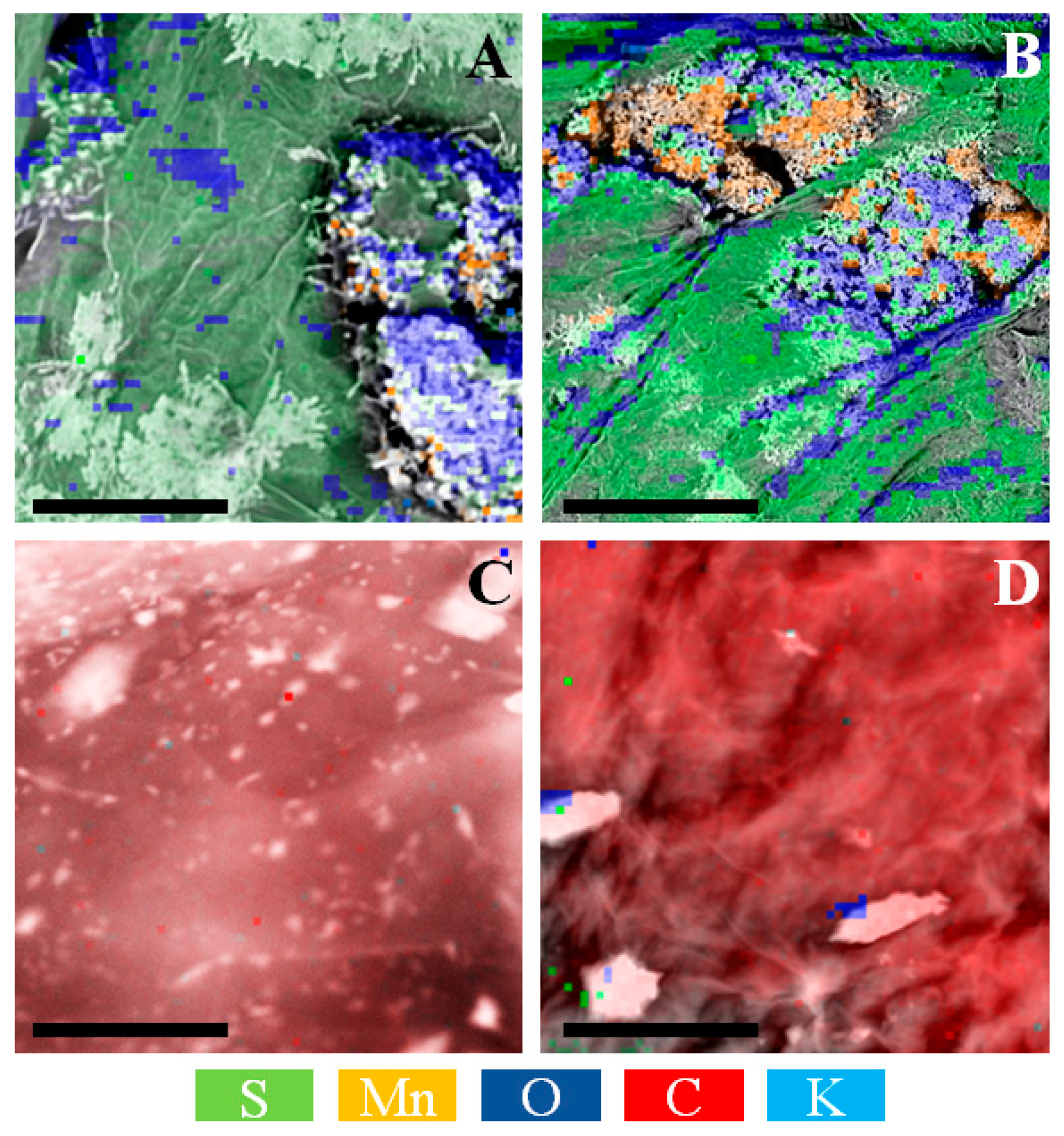 Materials 14 04108 g006