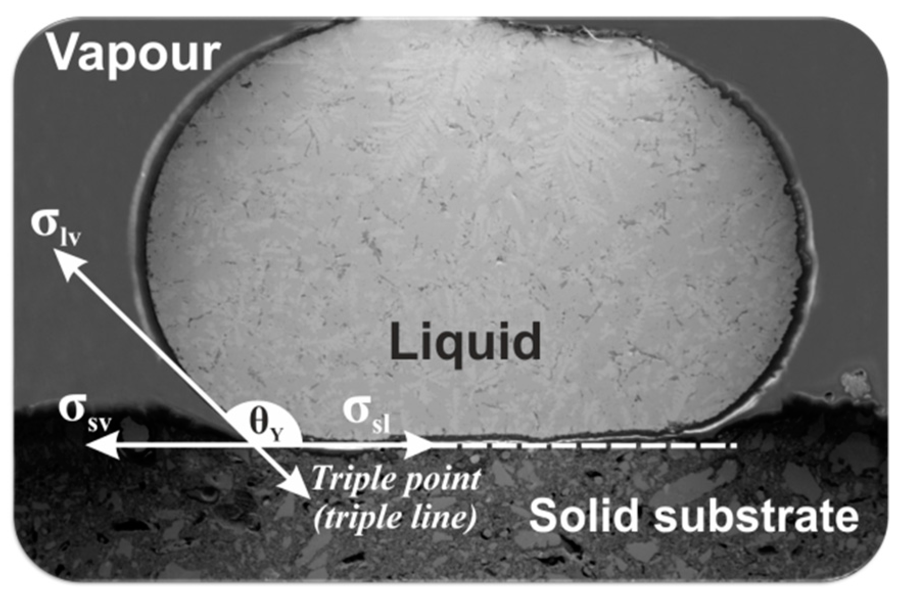 Materials 14 04117 g001