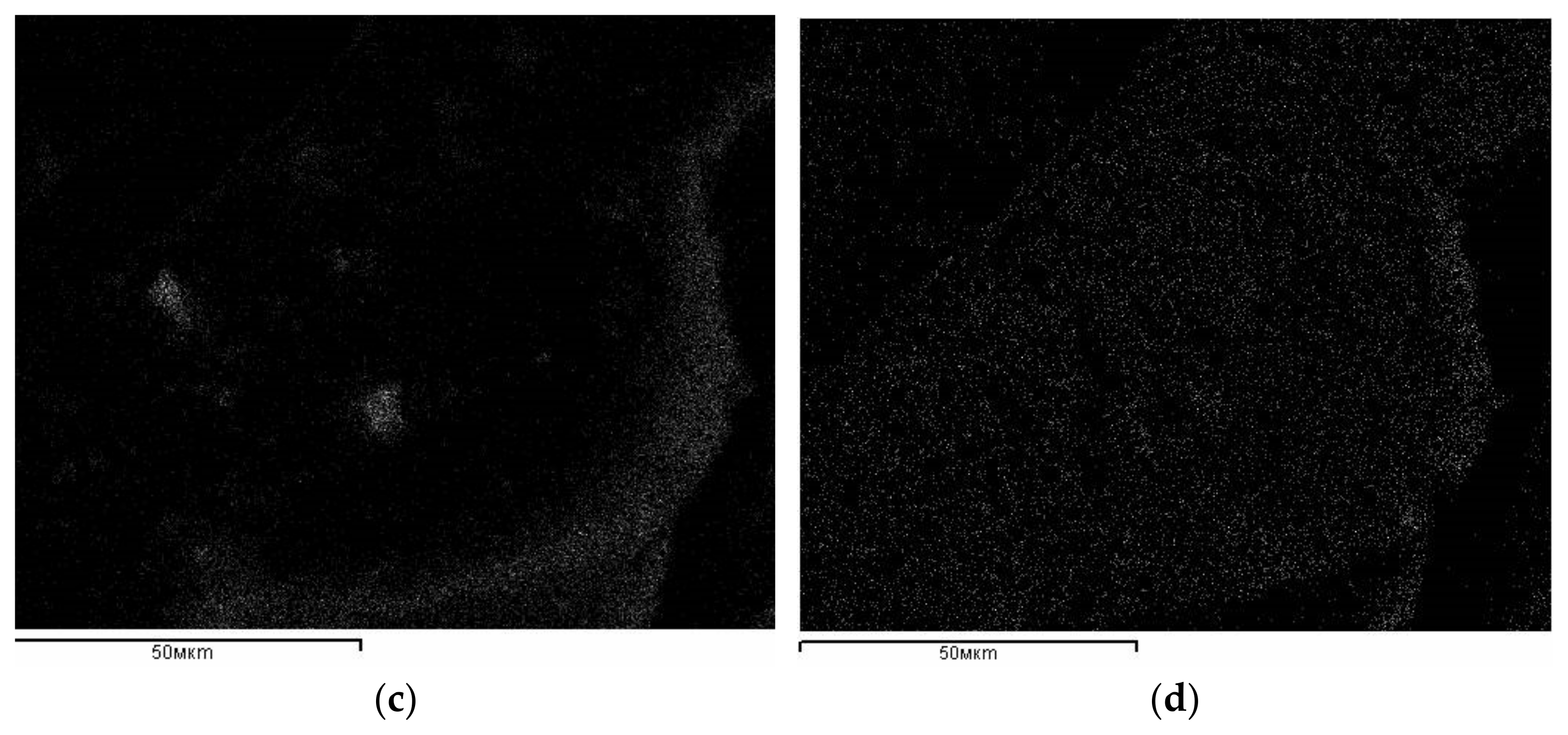 Materials 14 04119 g002b