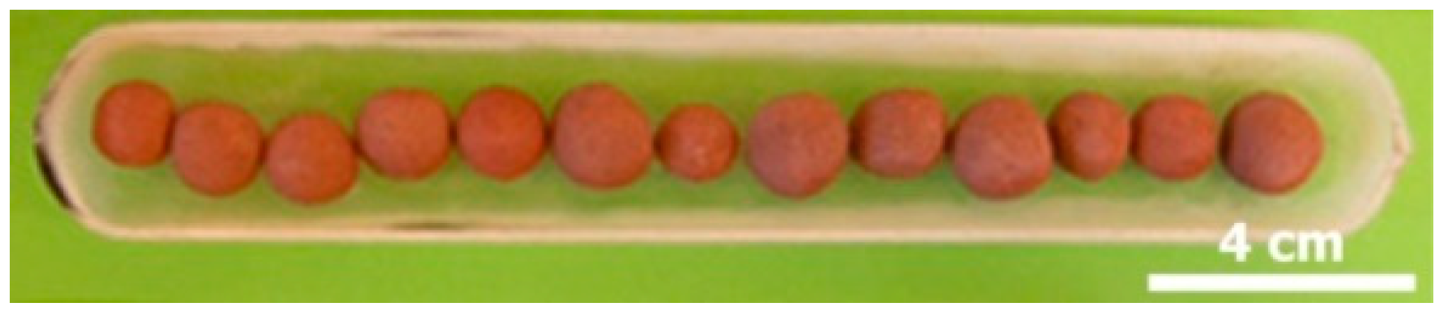 Materials 14 04129 g001