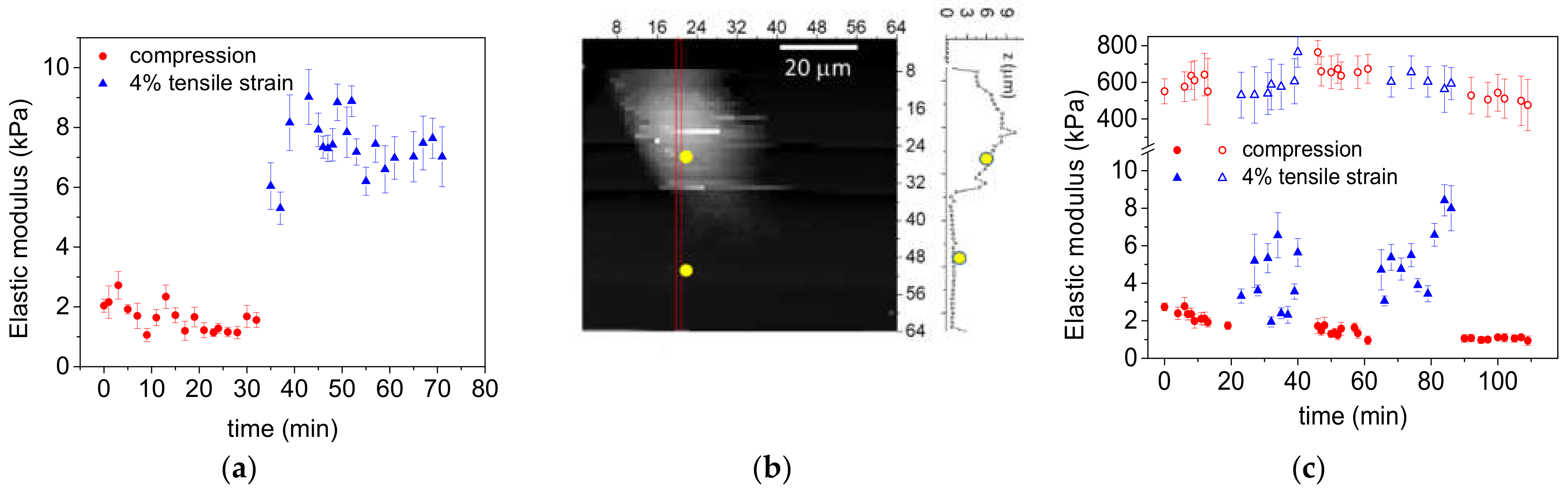 Materials 14 04131 g010