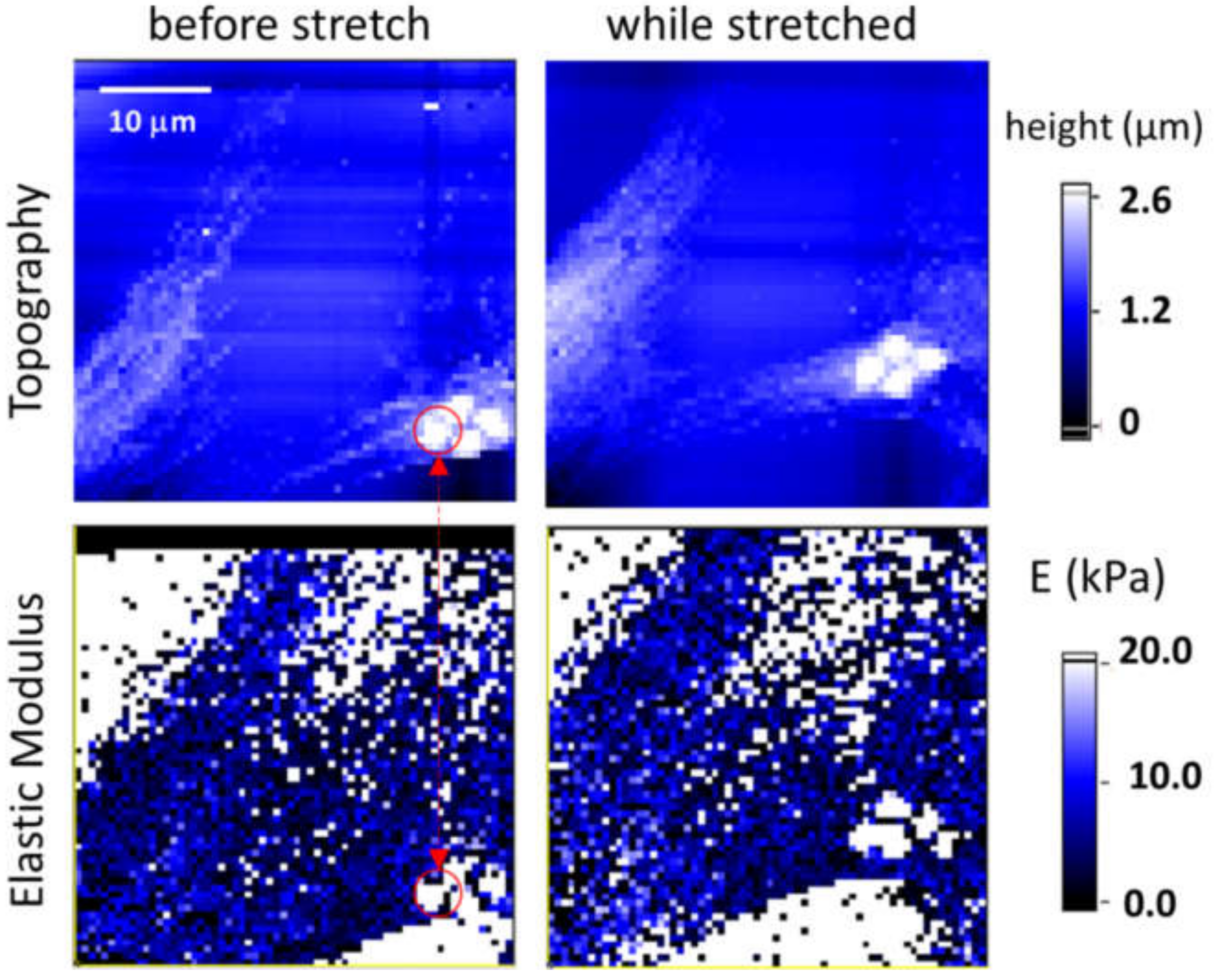 Materials 14 04131 g011