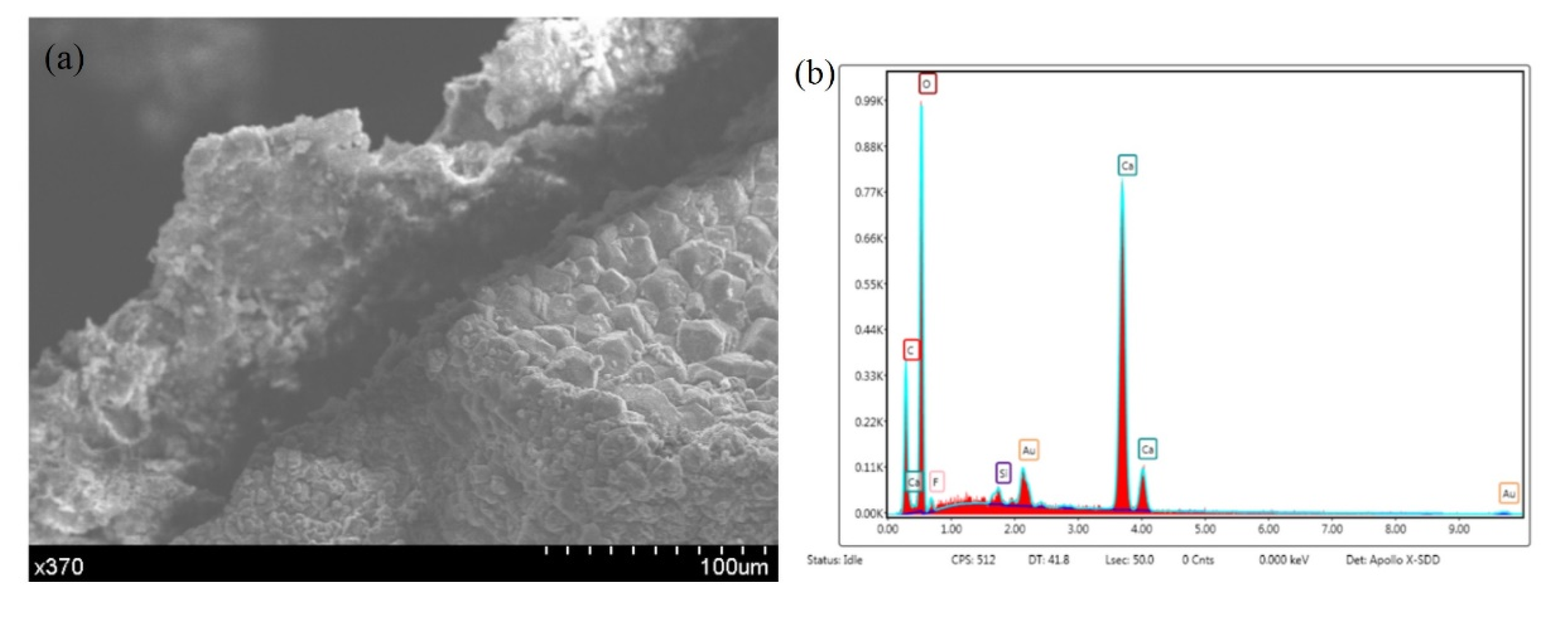 Materials 14 04139 g008