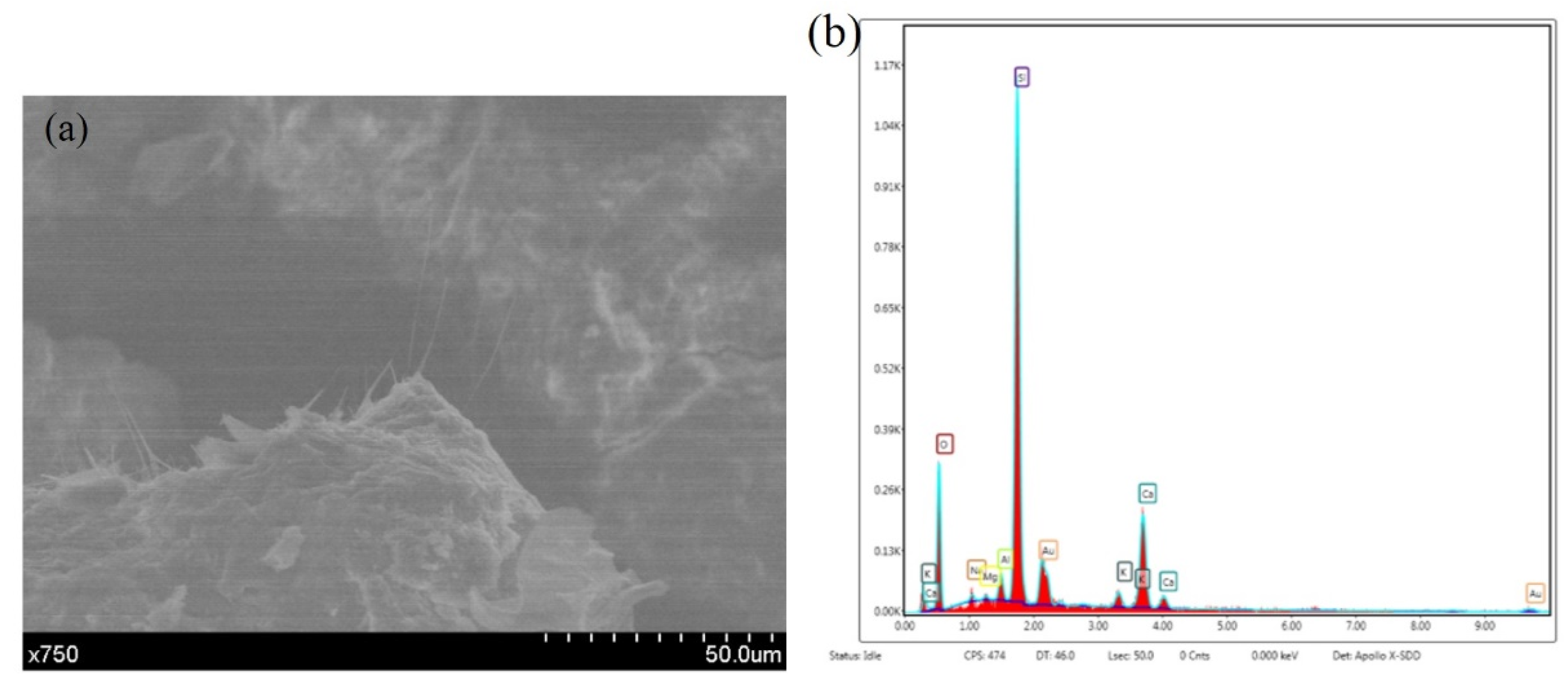 Materials 14 04139 g011