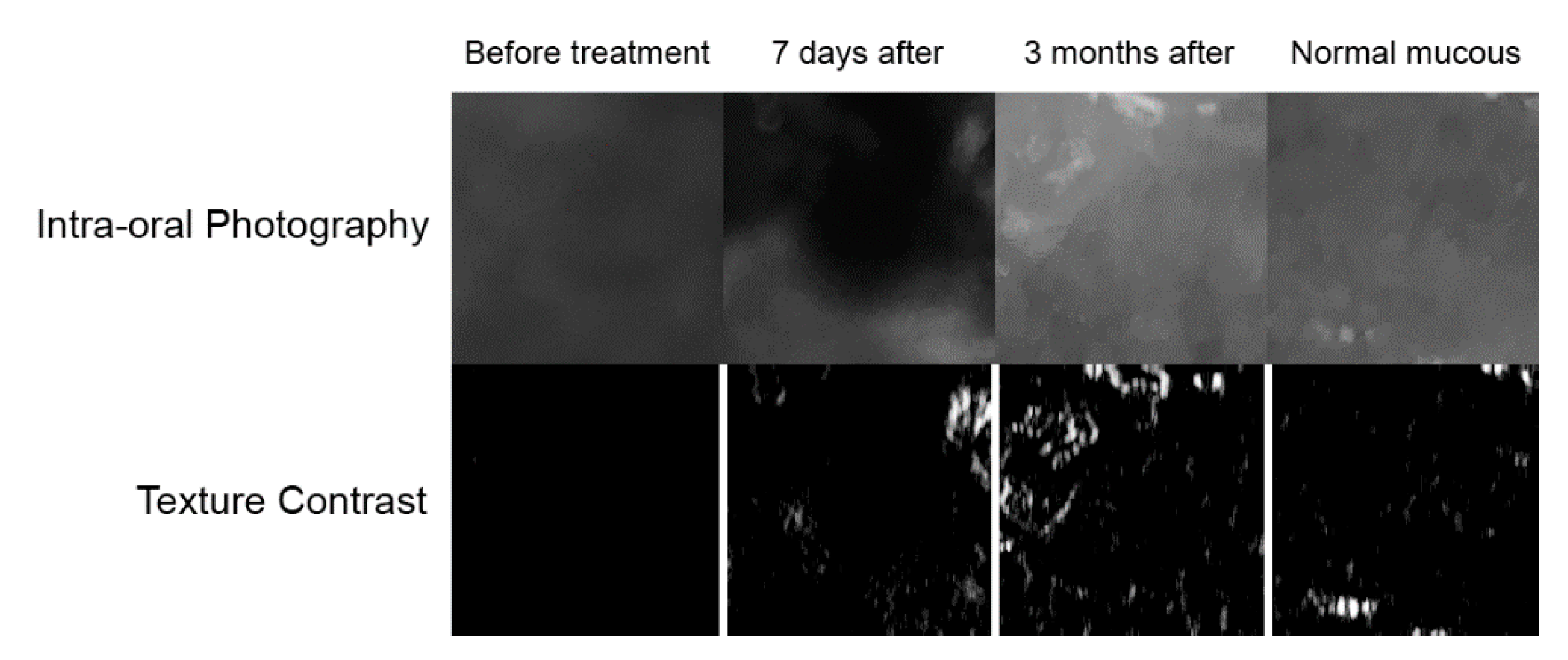 Materials 14 04140 g003