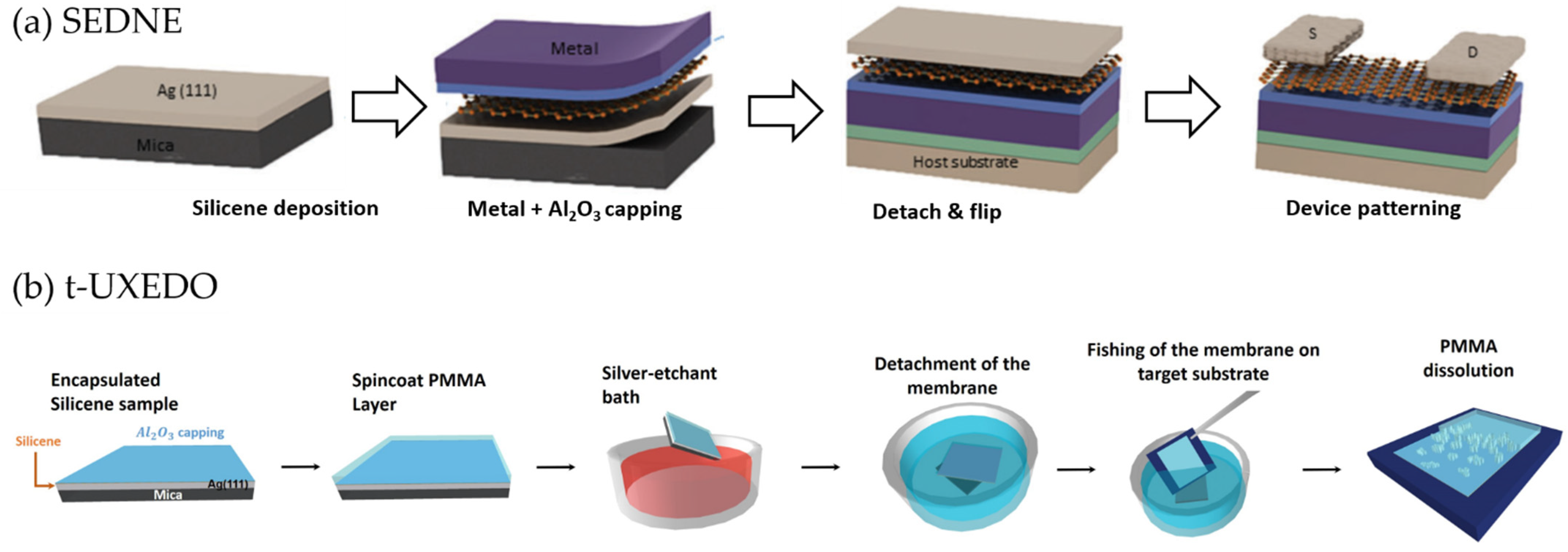 Materials 14 04170 g004