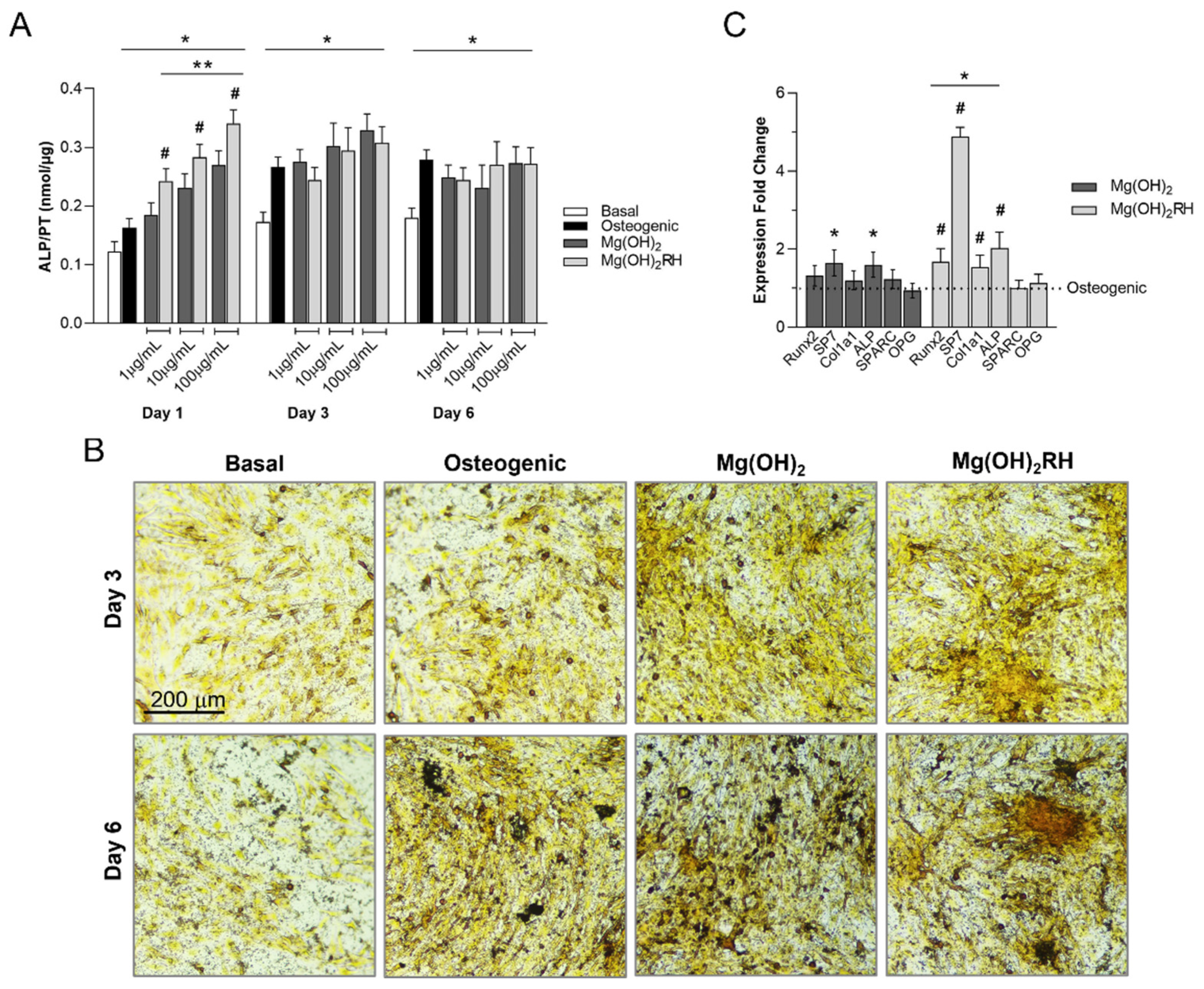 Materials 14 04172 g003