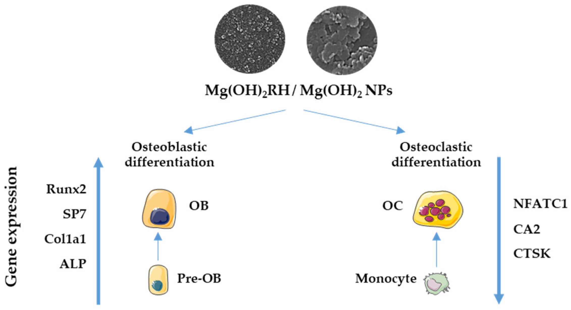 Materials 14 04172 g006