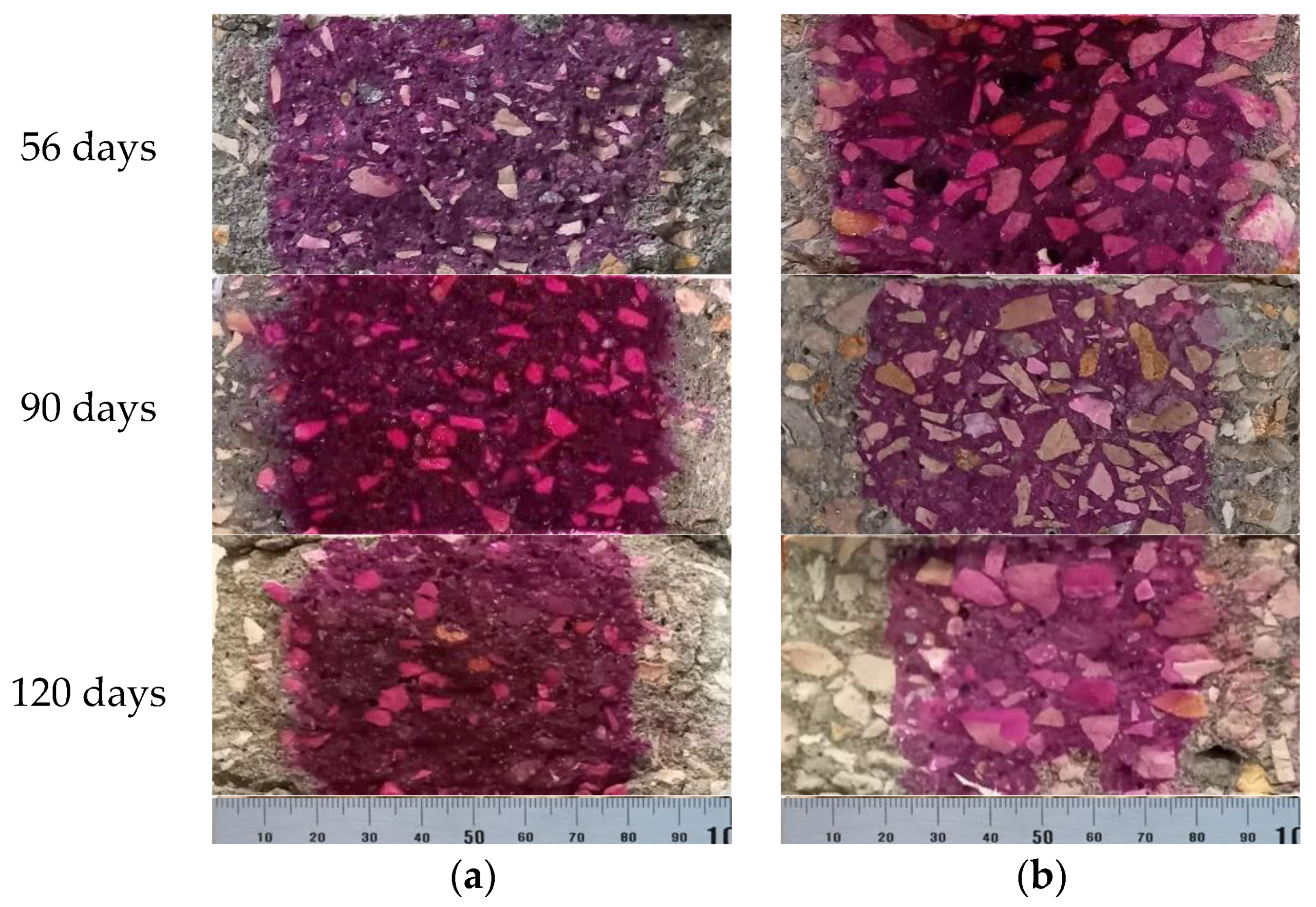 Materials 14 04173 g012