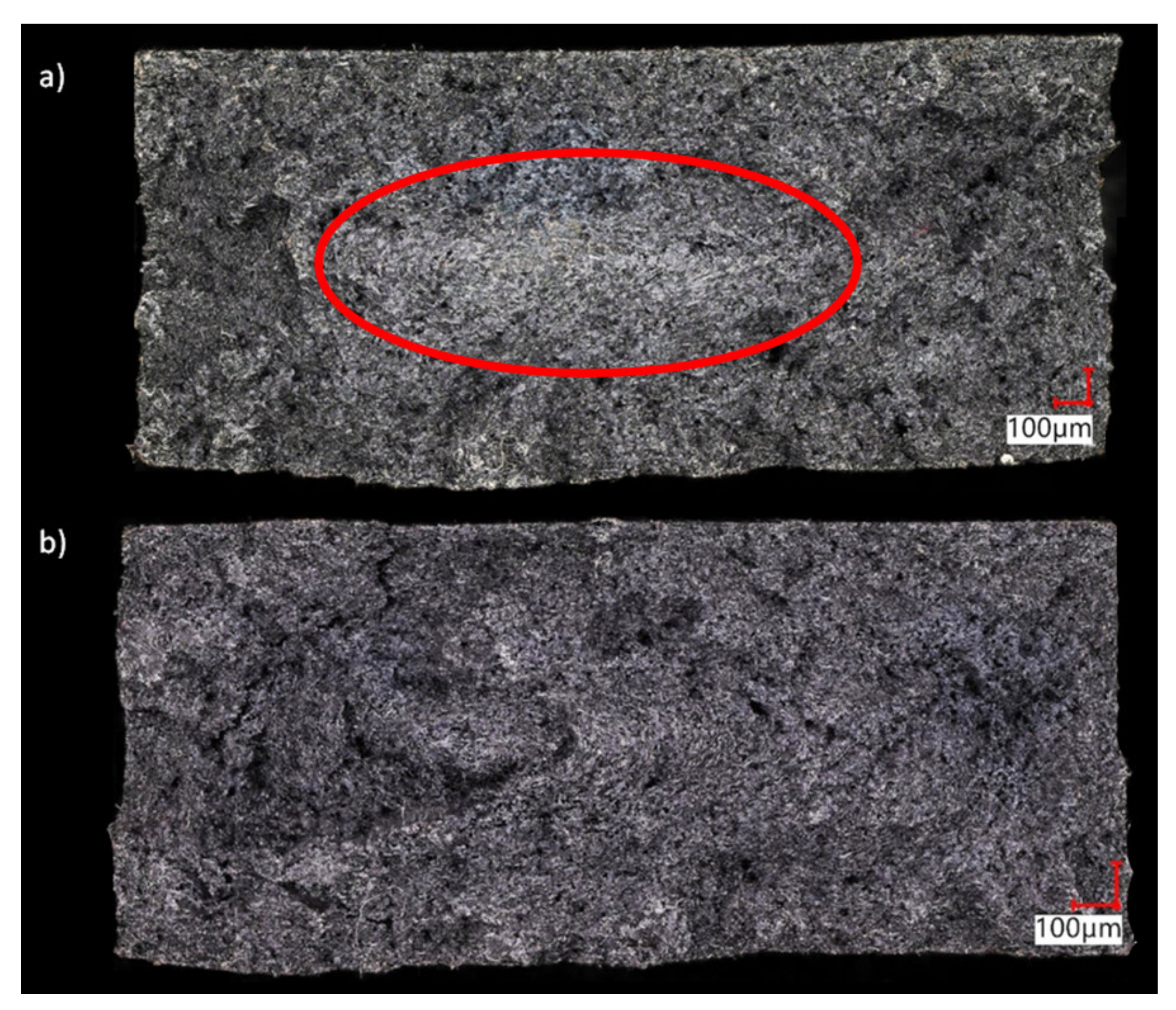 Materials 14 04199 g008