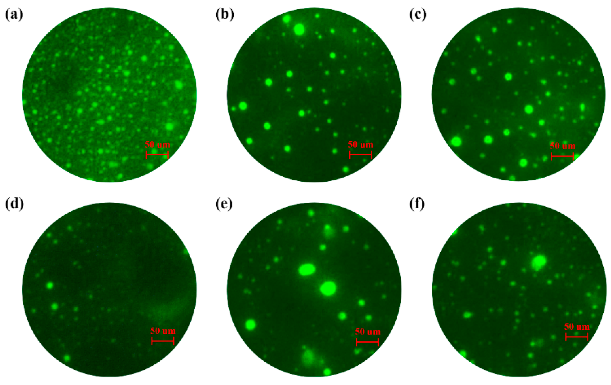 Materials 14 04201 g003