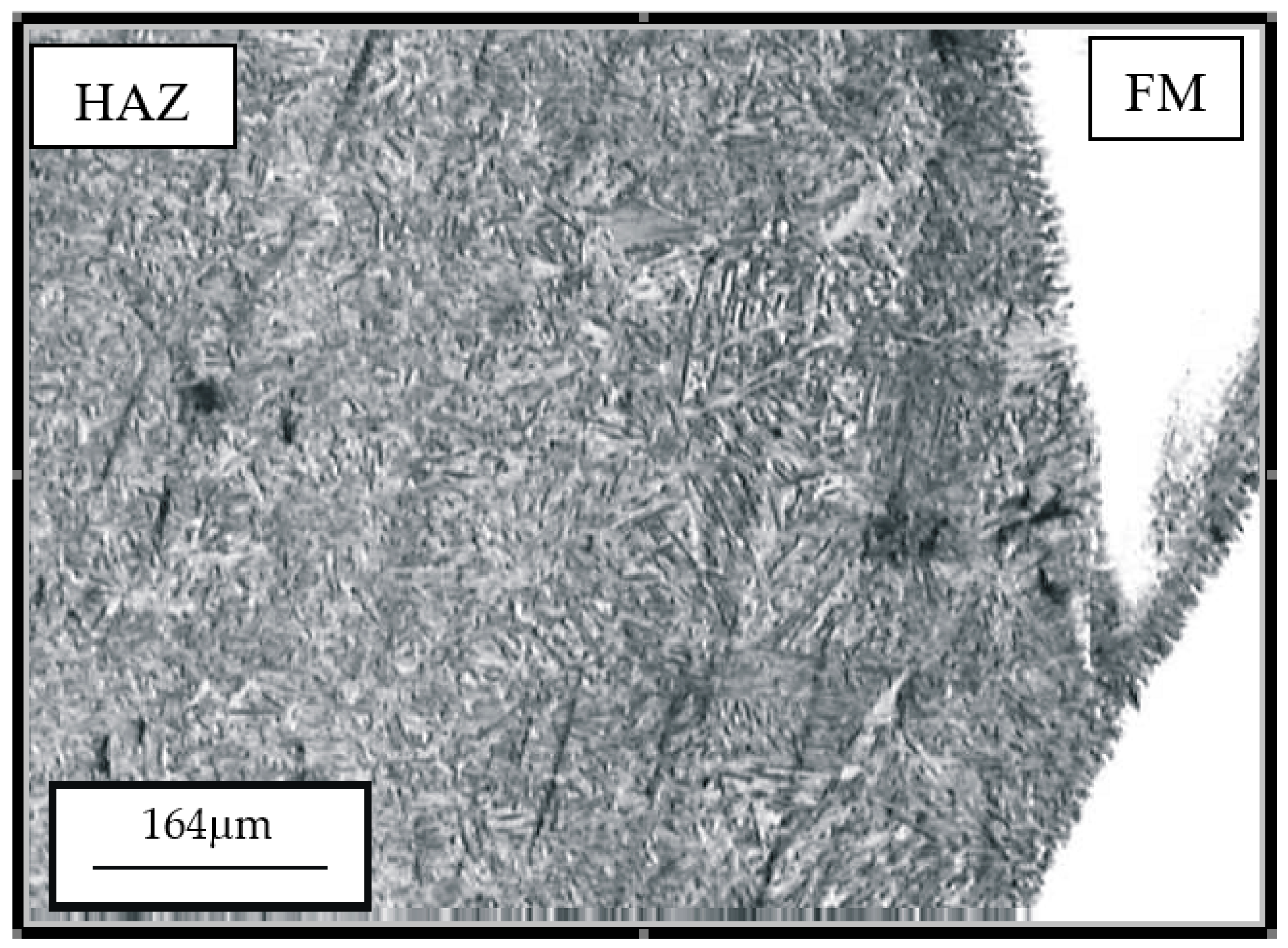 Materials 14 04203 g005