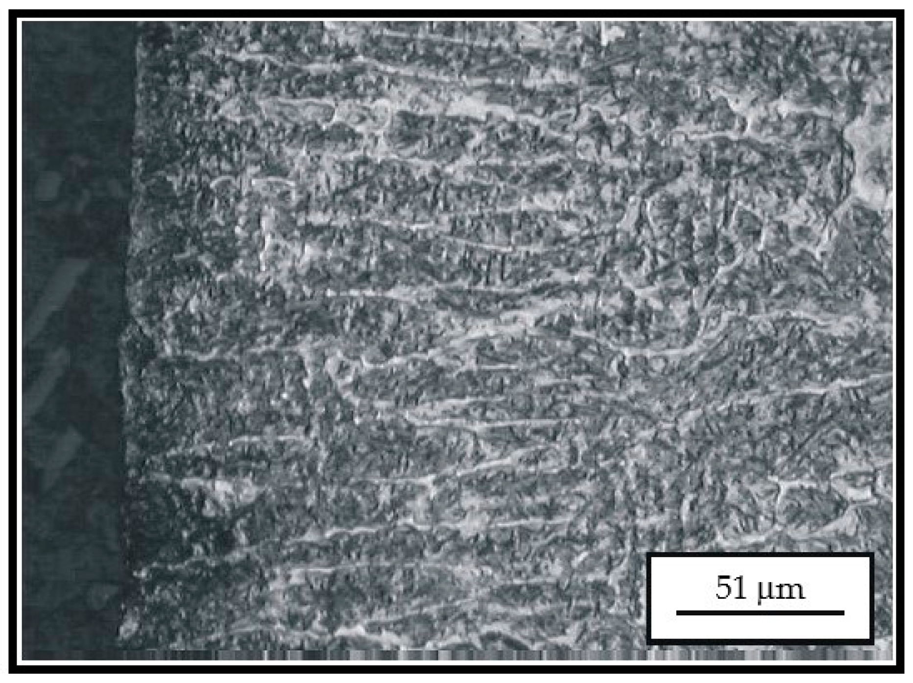 Materials 14 04203 g007