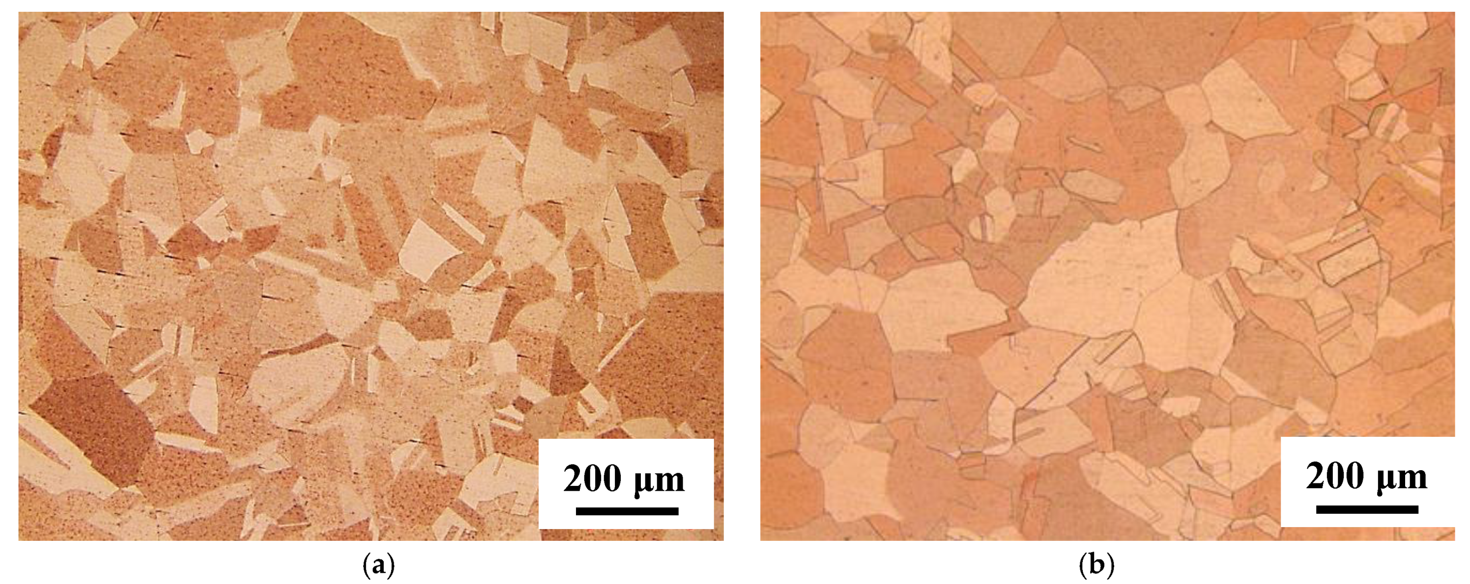 Materials 14 04237 g002