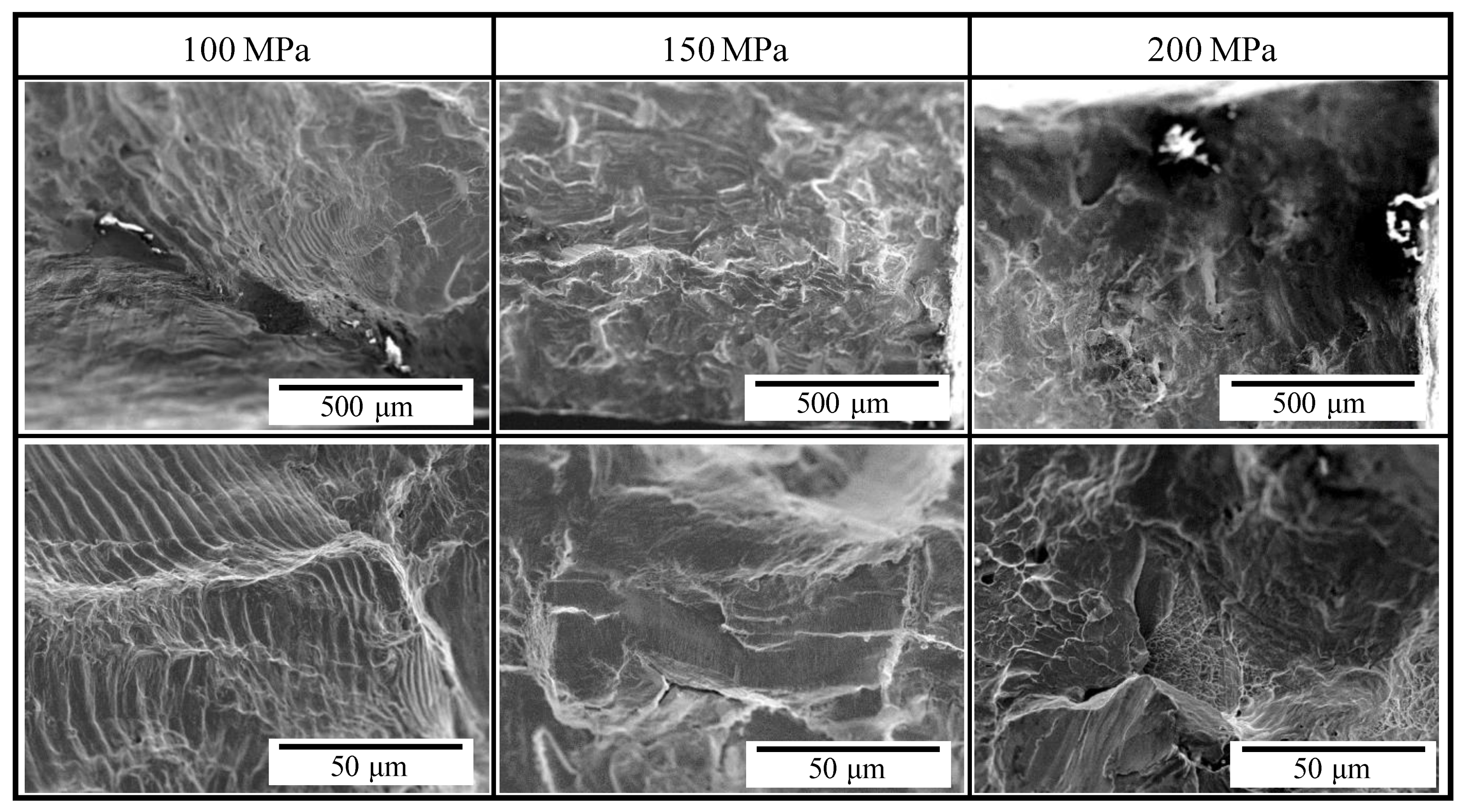 Materials 14 04237 g006