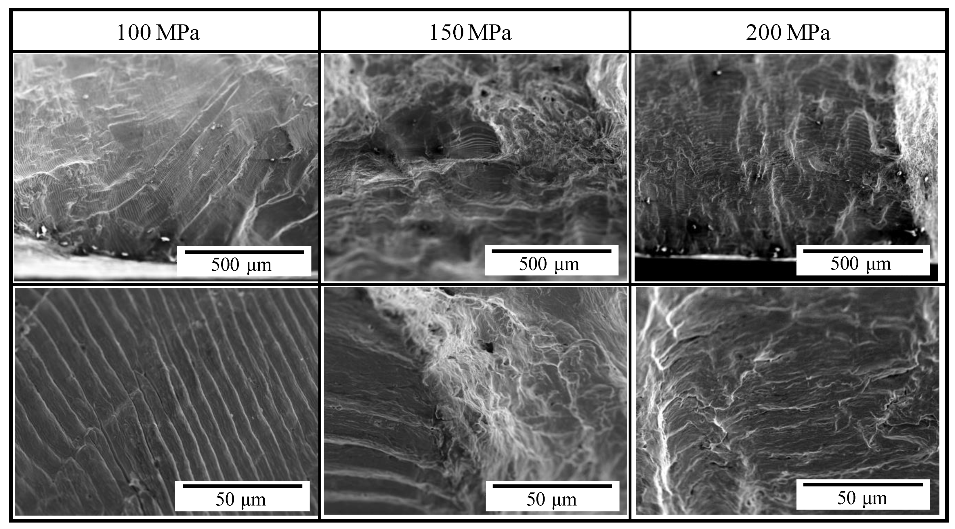 Materials 14 04237 g007