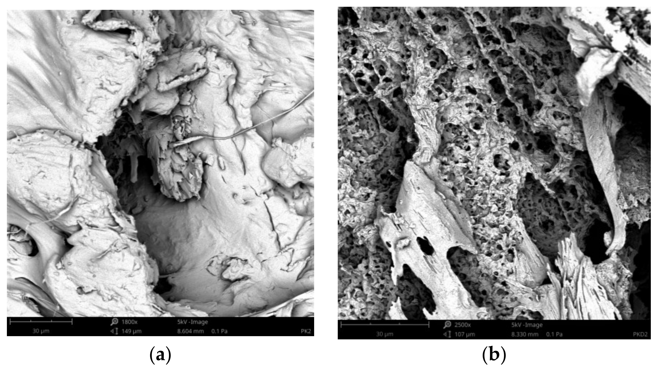 Materials 14 04241 g011