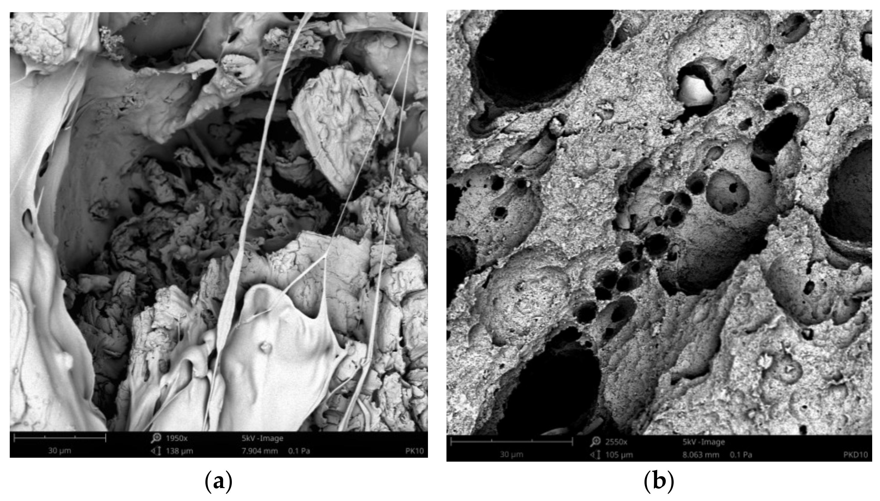 Materials 14 04241 g012