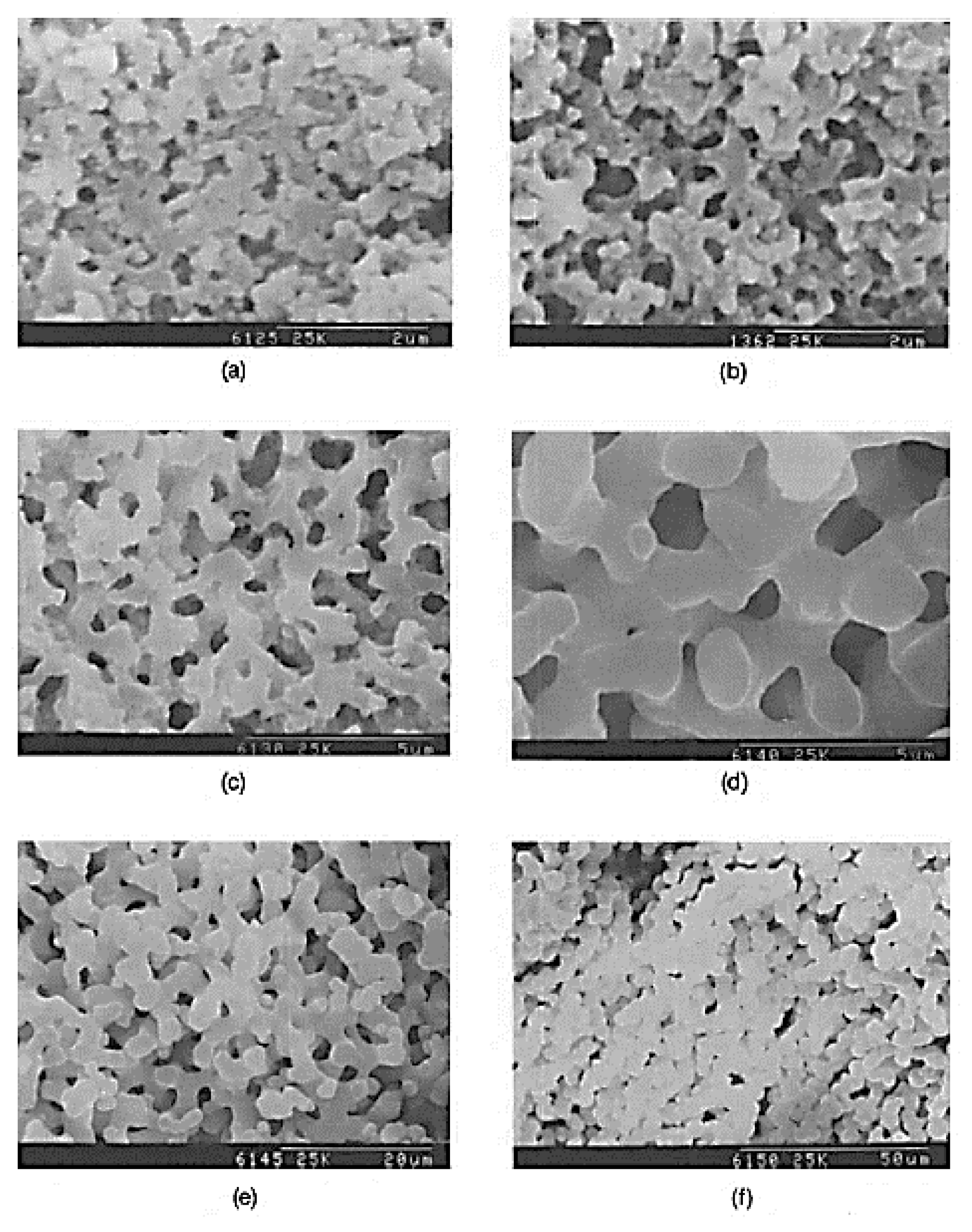 Materials 14 04247 g003